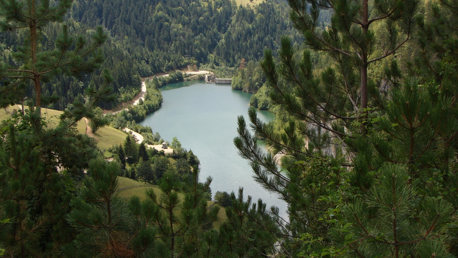 cima