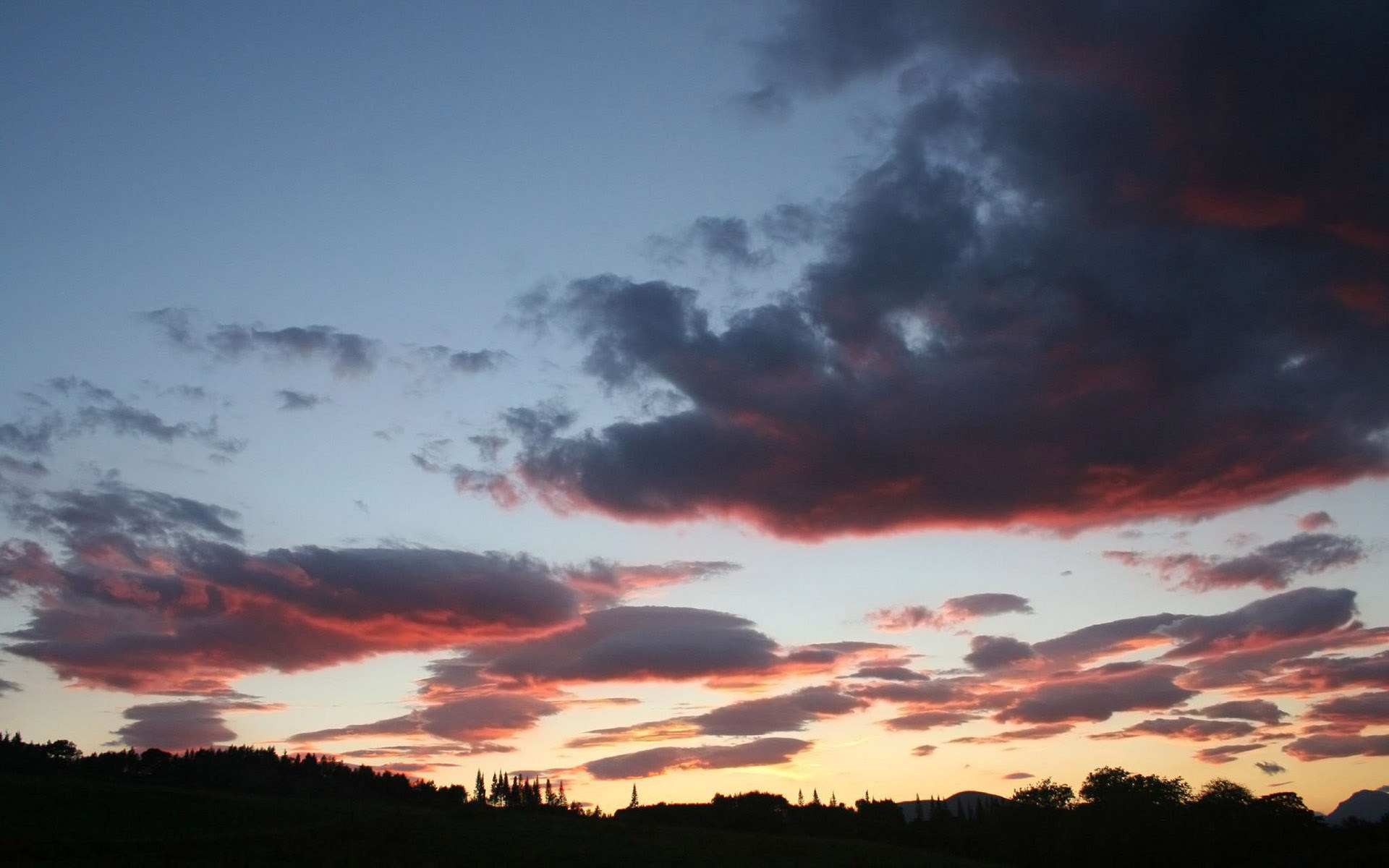 есть лошадь, которая стоит в траве на закате