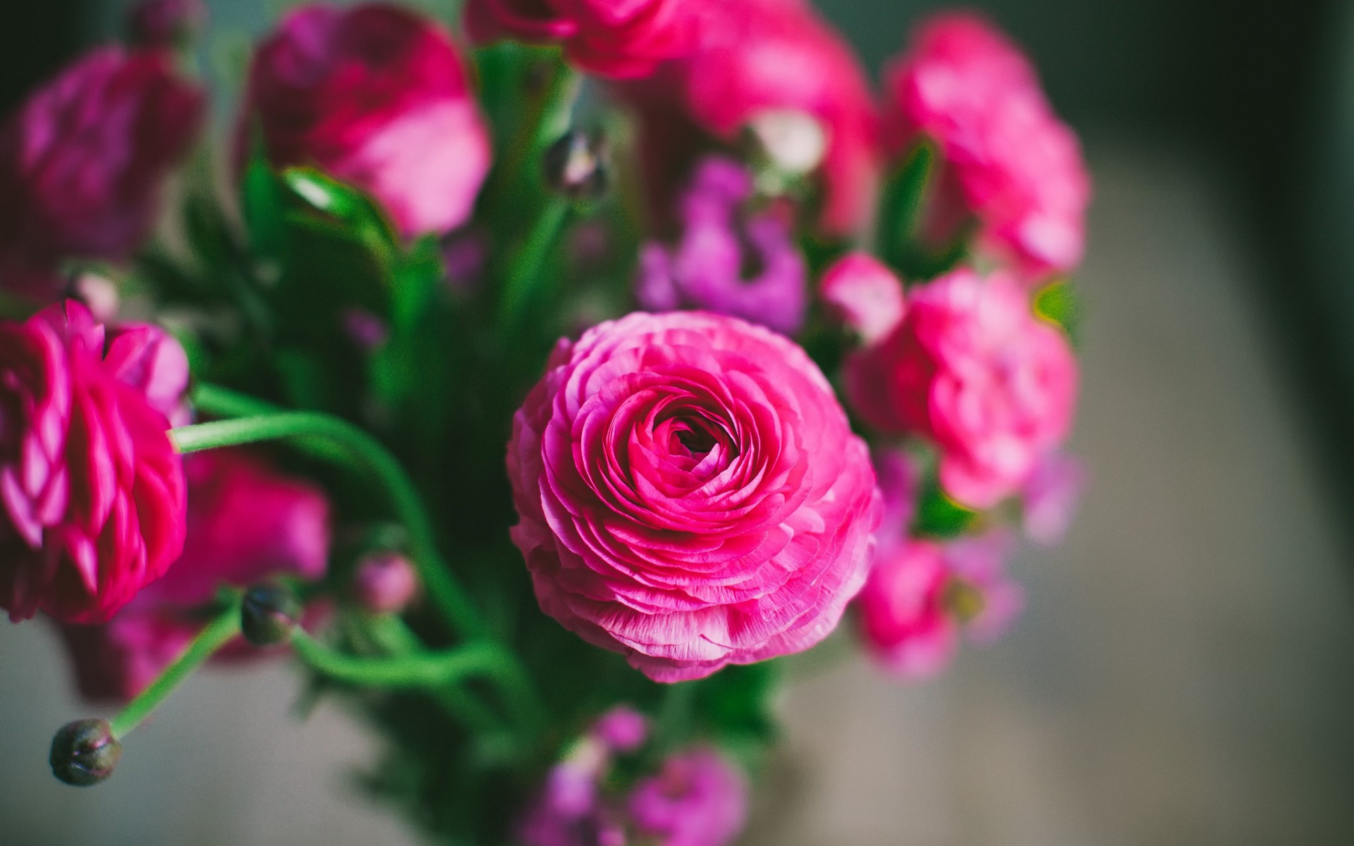 масло, натуральные