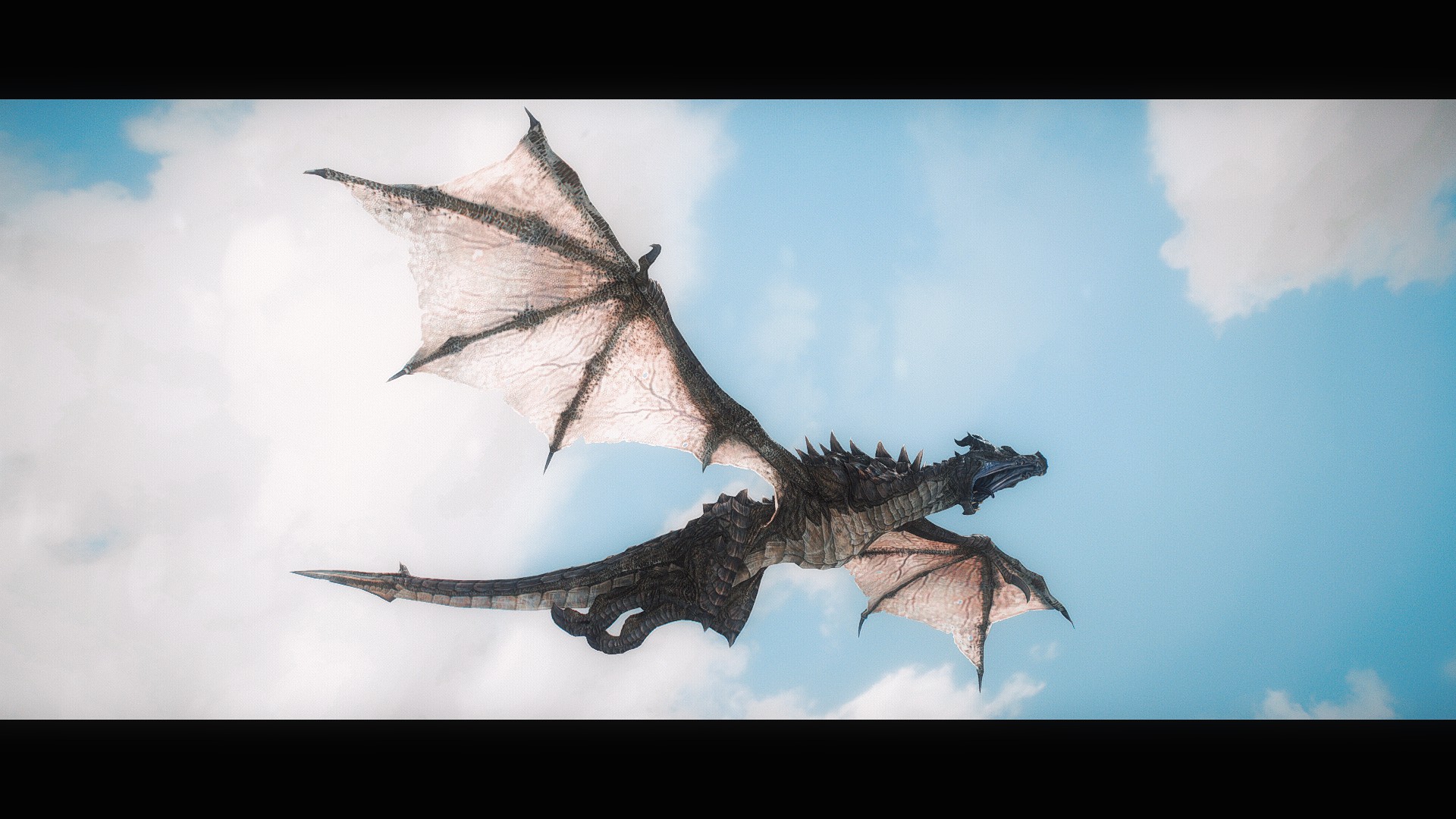 skyrim, wyvern, прокрутка