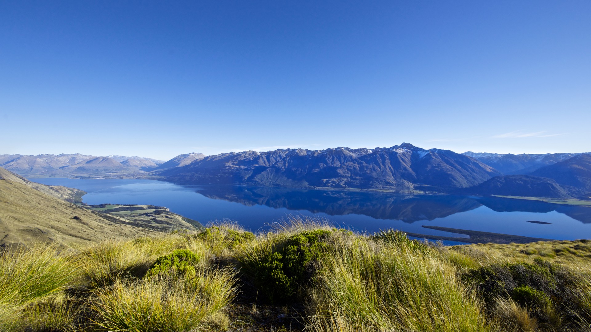 zealand, funart, pronovy i