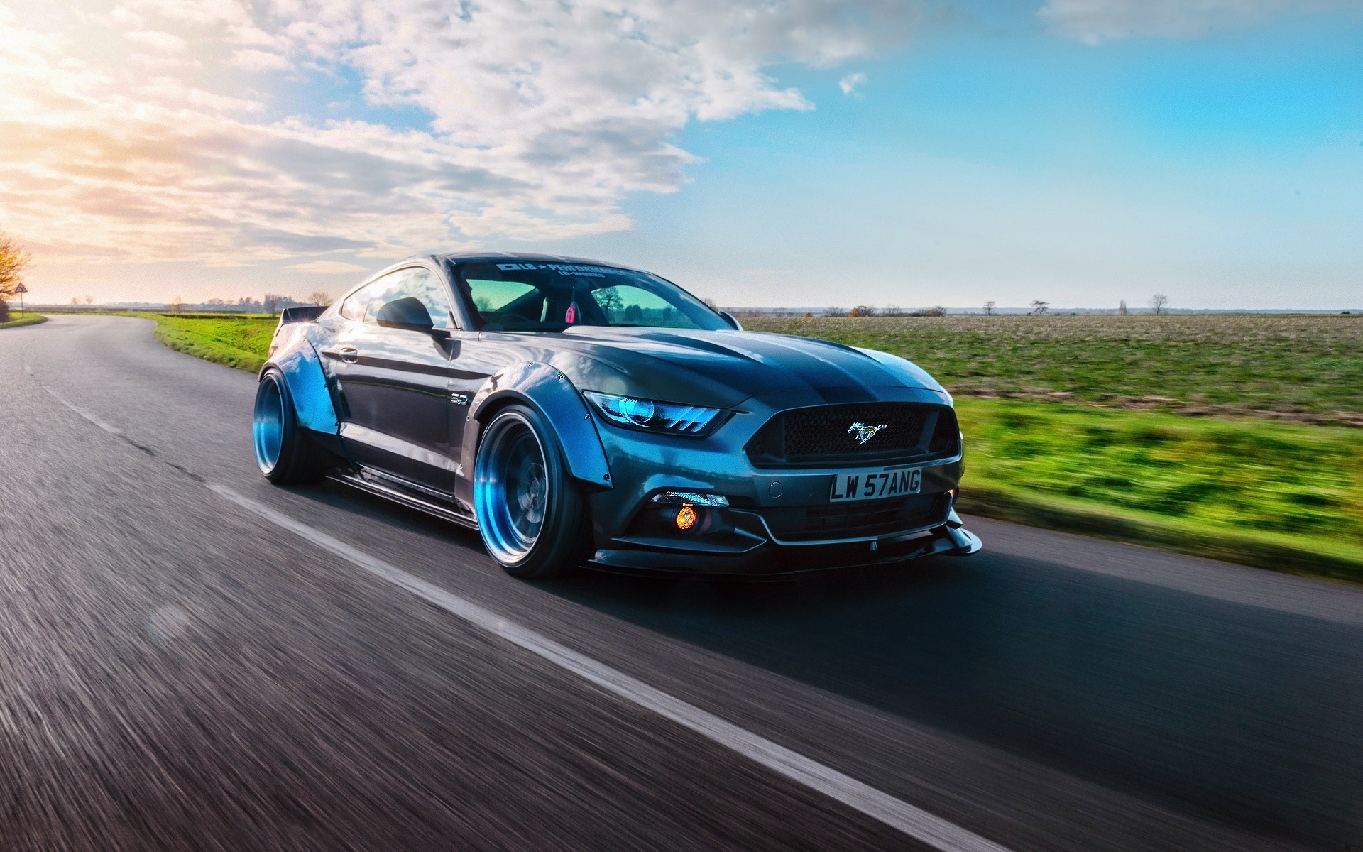 mustang, прогулка, свобода
