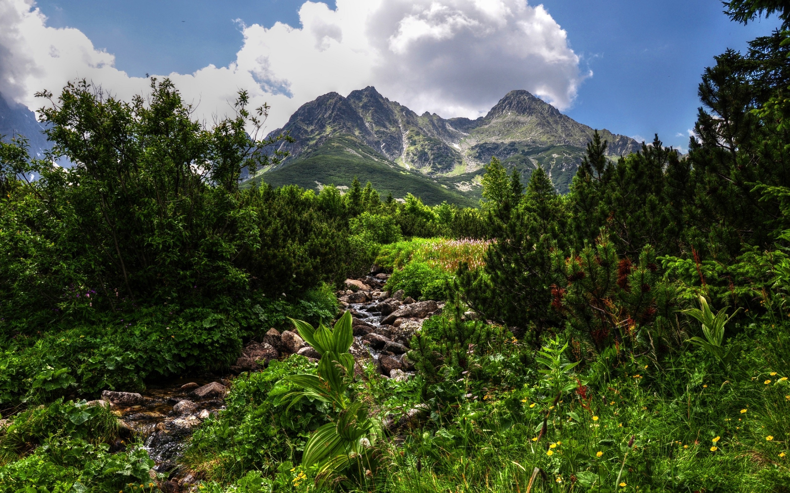 горы, камни, небо