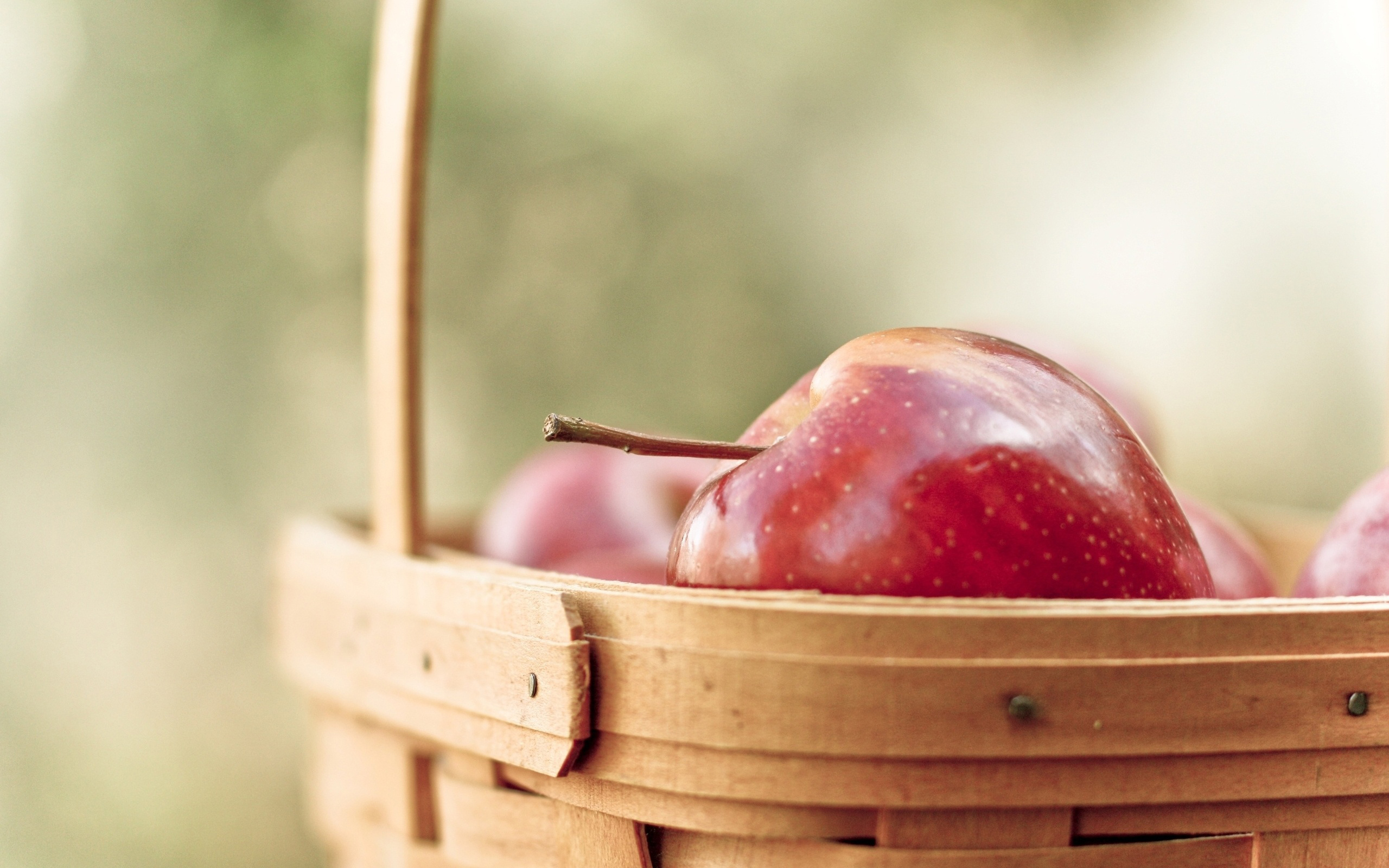 apple, песочница, корзина