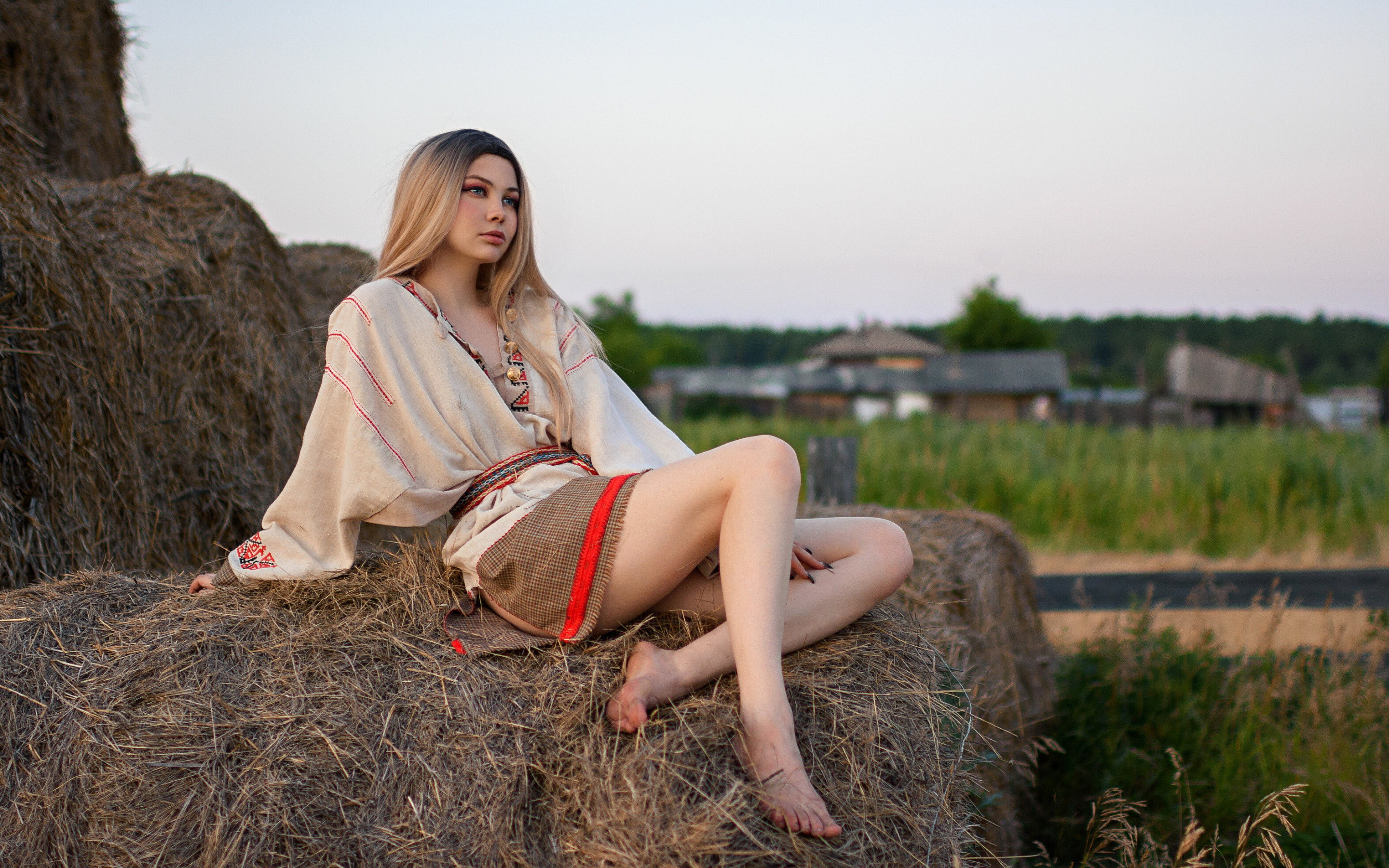 араффе, сидящий на буханке сена в поле