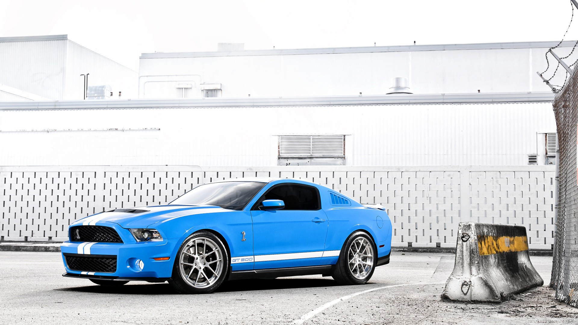 mustang, ford, shelby No 59286 Разрешение 1920x1080