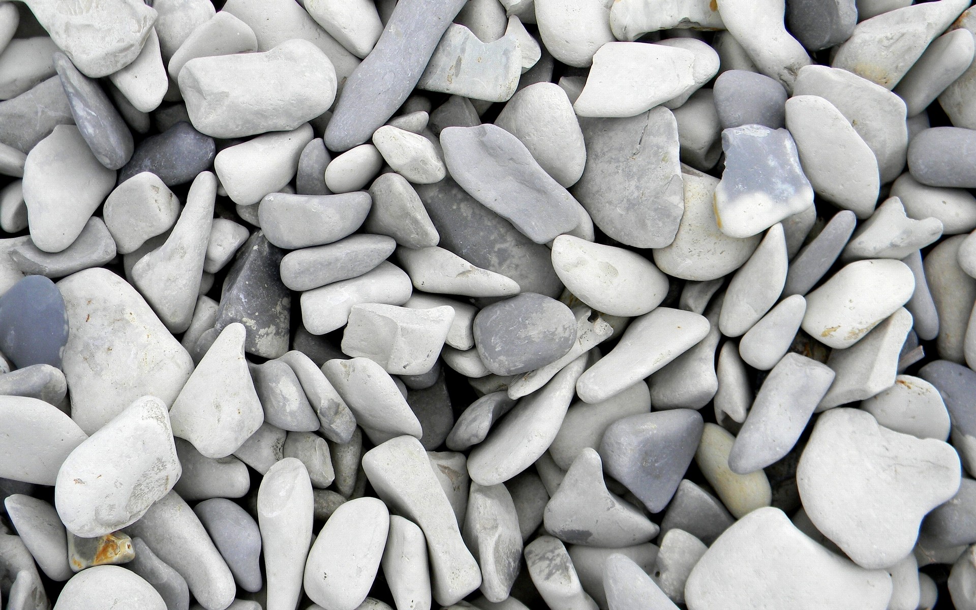 от, толстовка, zip