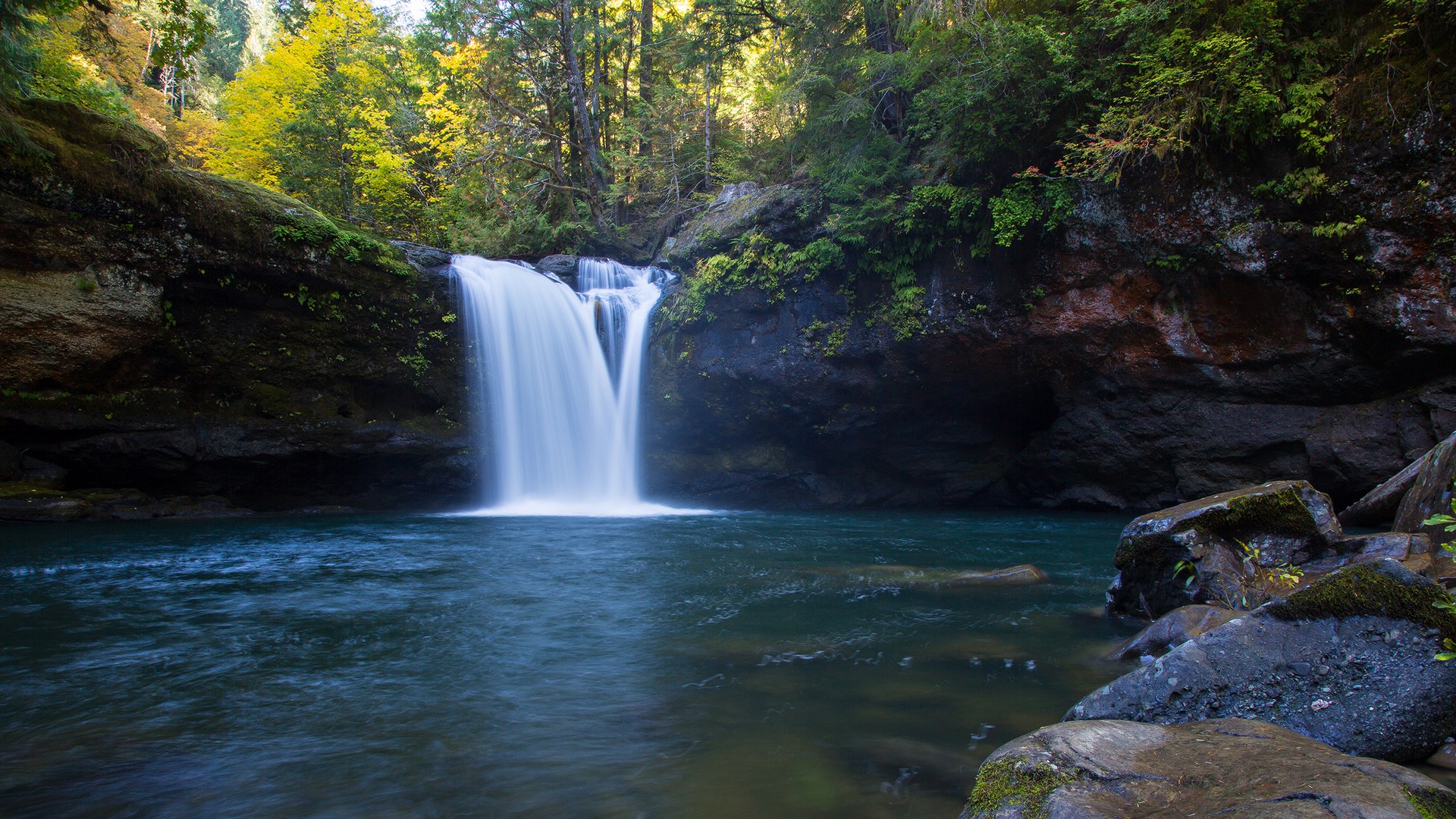 cascada, rbole, родеада