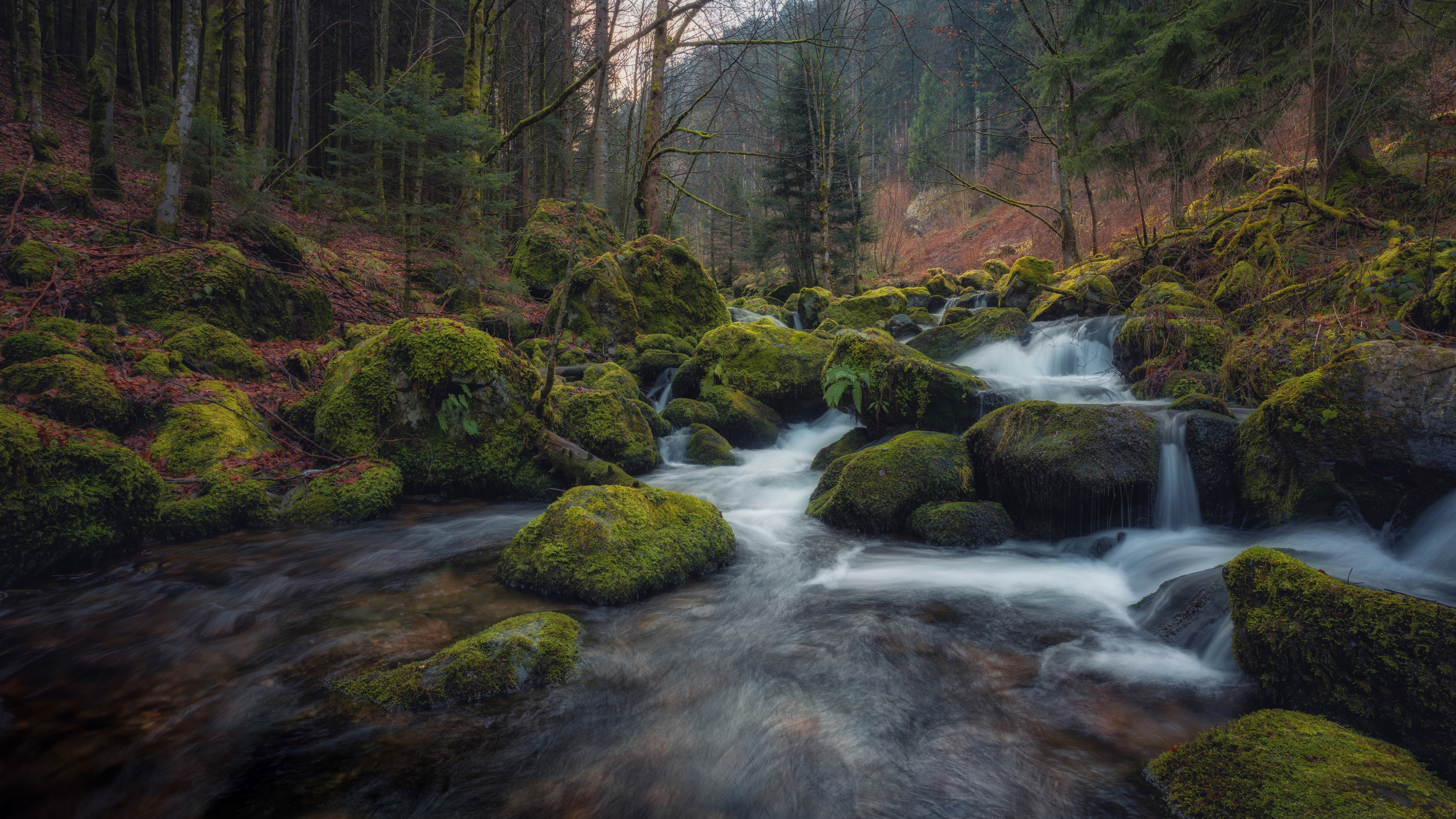 река, камень, германия