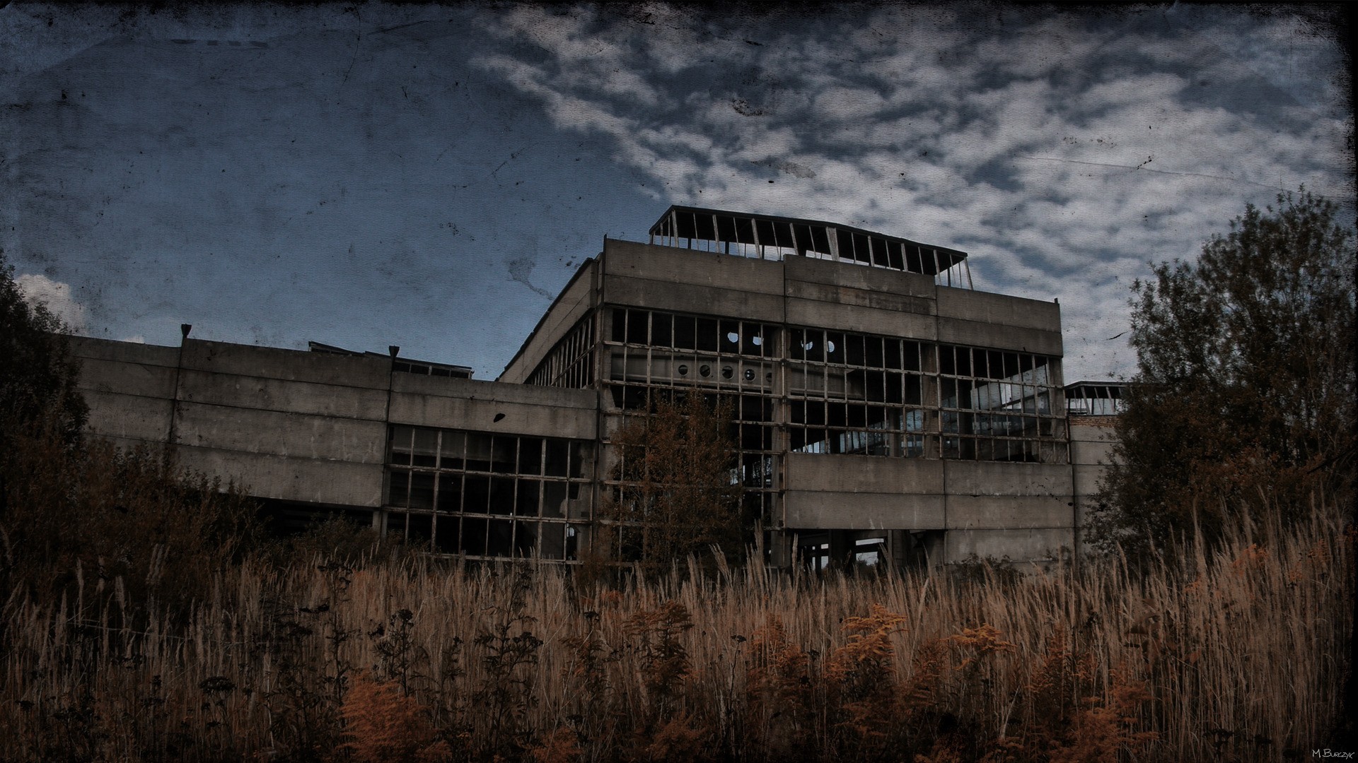 stalker, game