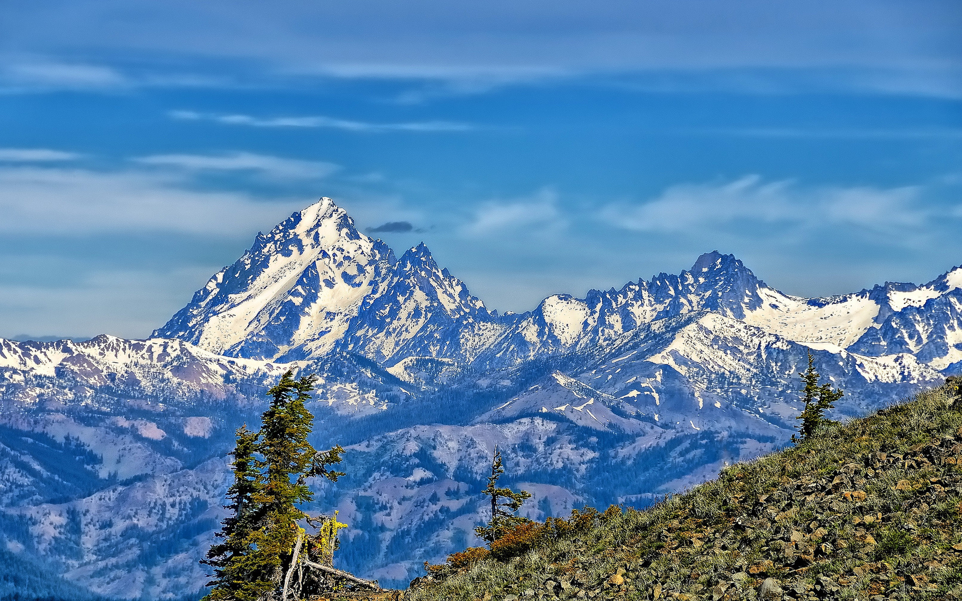 mount, stuart, tag