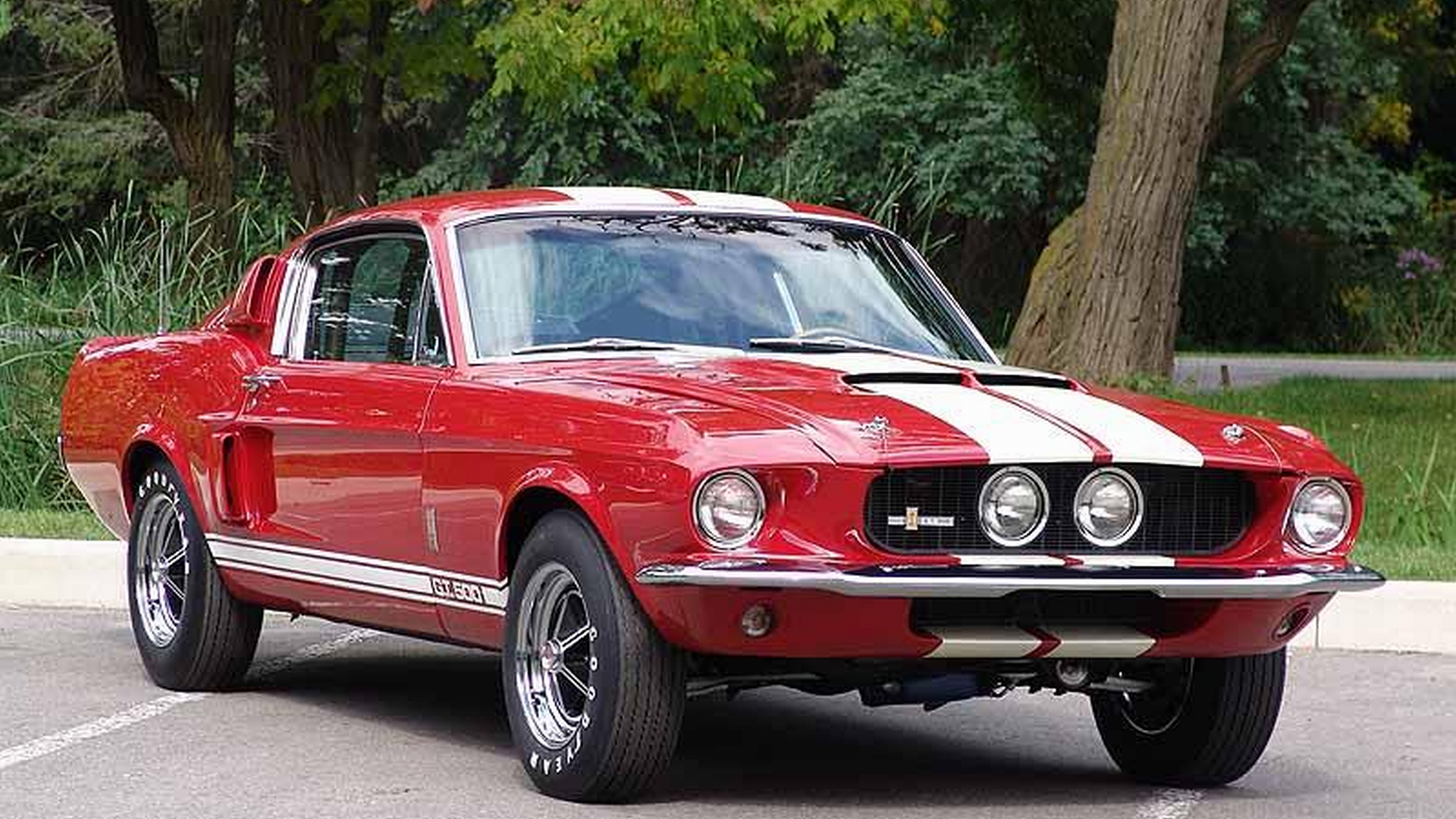 shelby, ford, rate