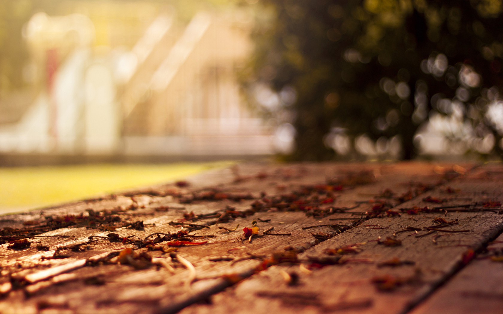 столик, wood, liên