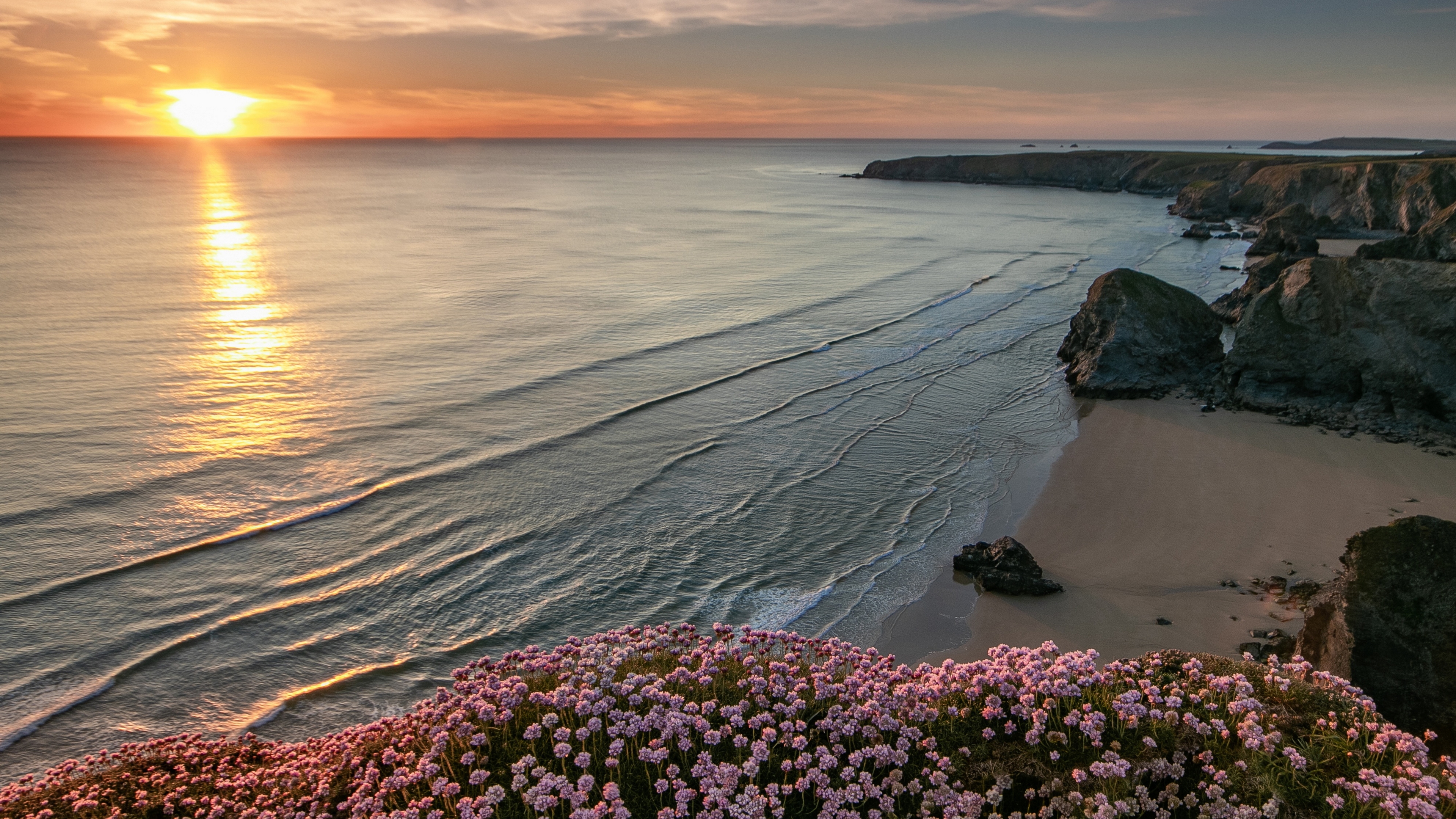 пляж, закат, цветы