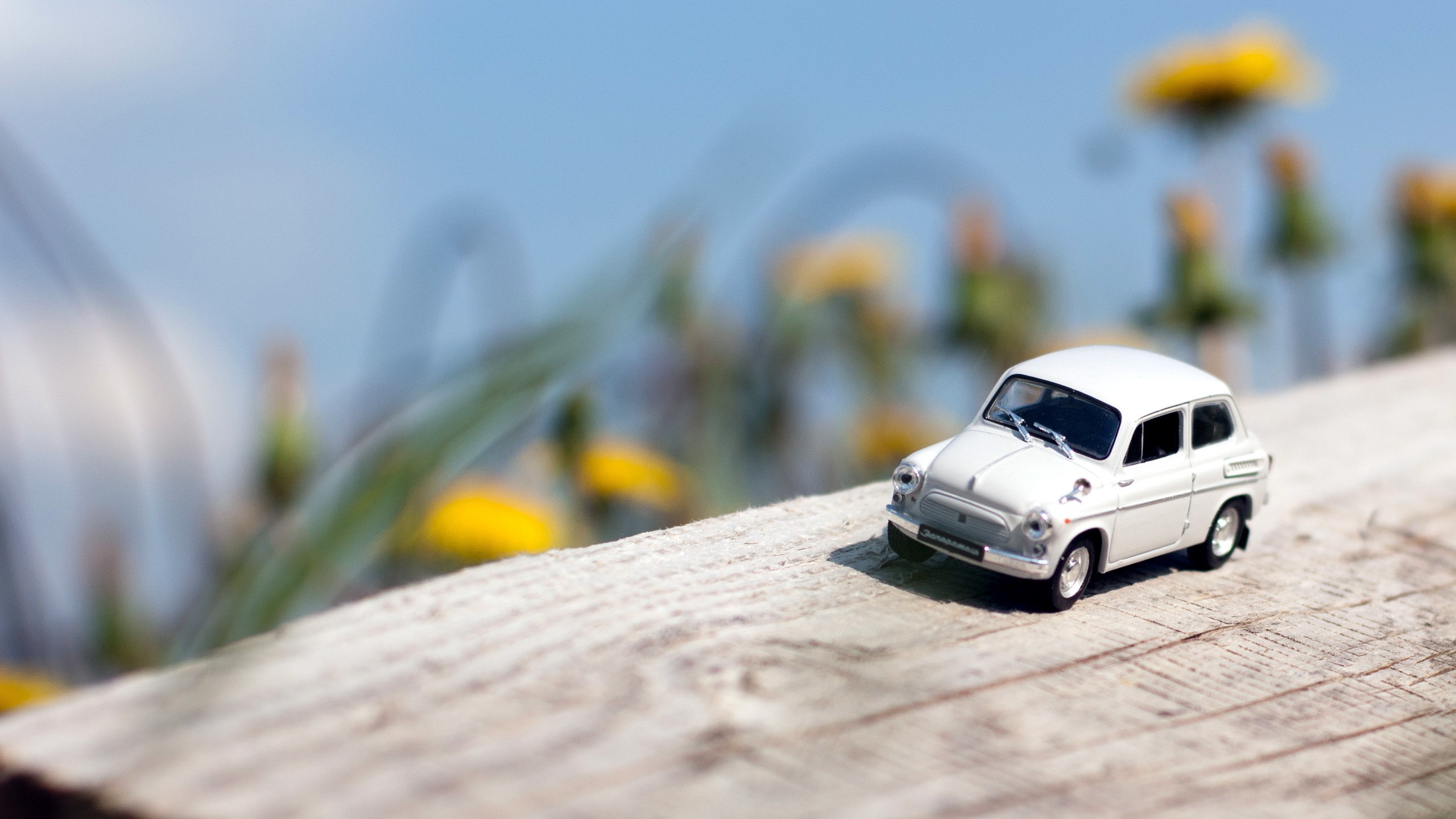 carro, miniatura, off