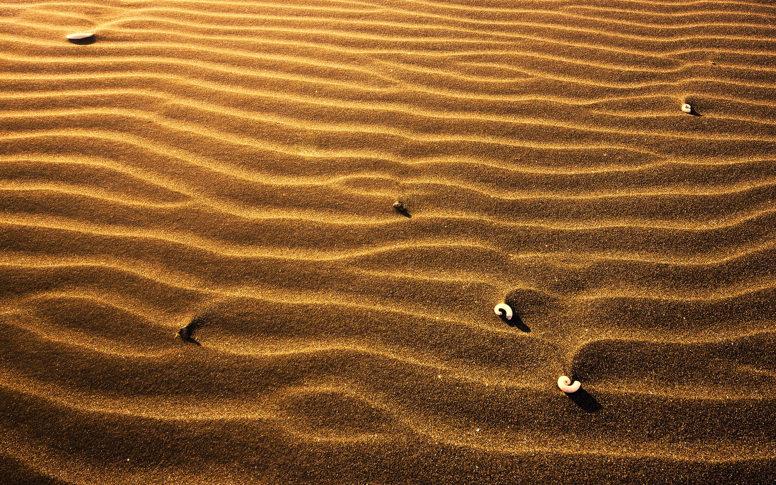 природа песок море пустыня nature sand sea desert загрузить