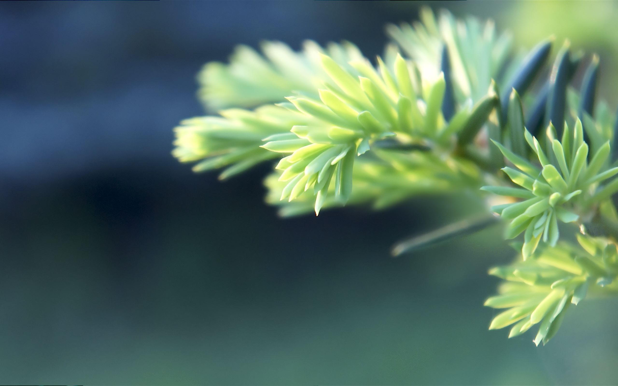 Песочница 22561