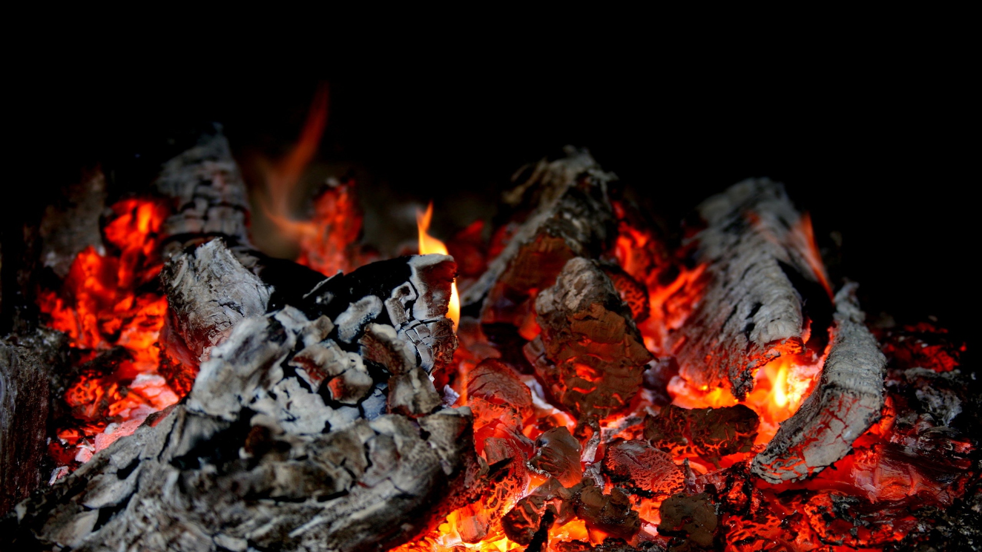 tlet, story, fire