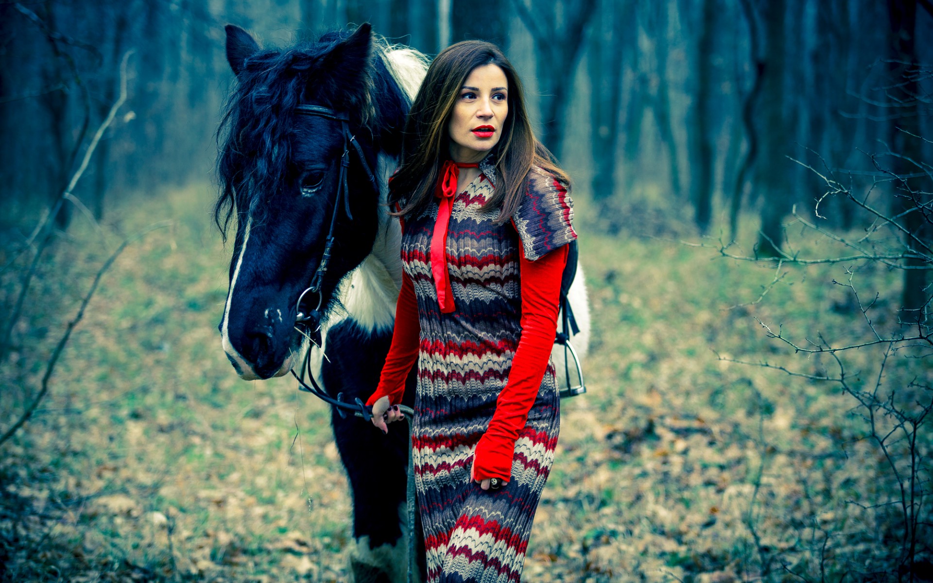 лошадь, женщина, девушка