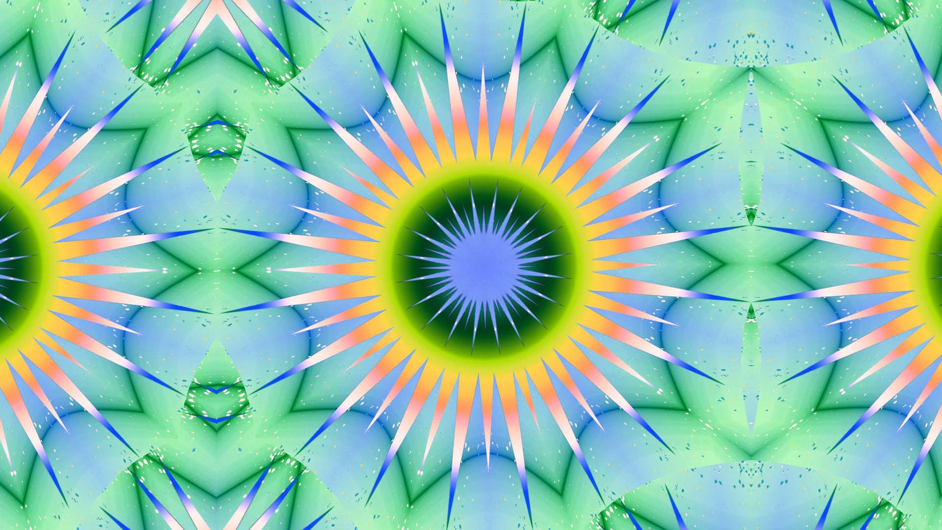 sandpaperdaisy