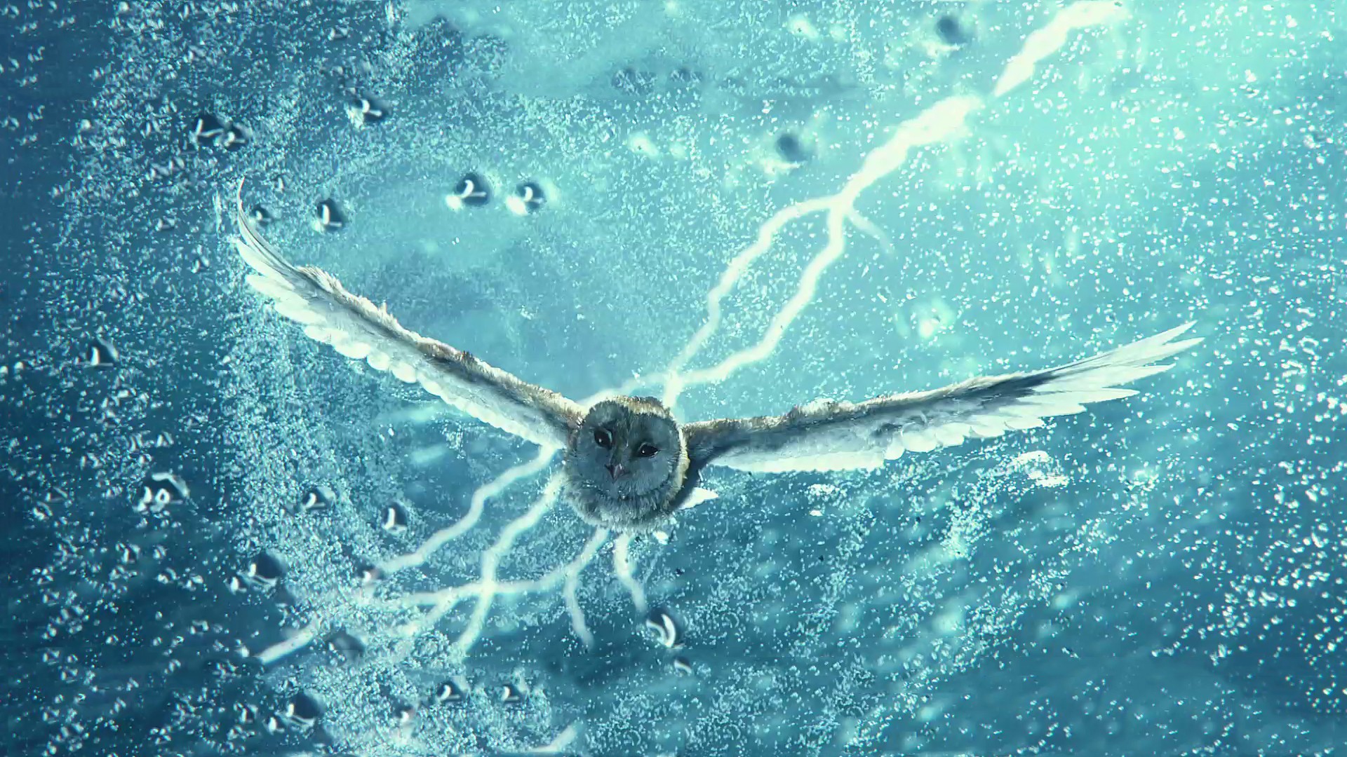 guardian, сказание, ночное