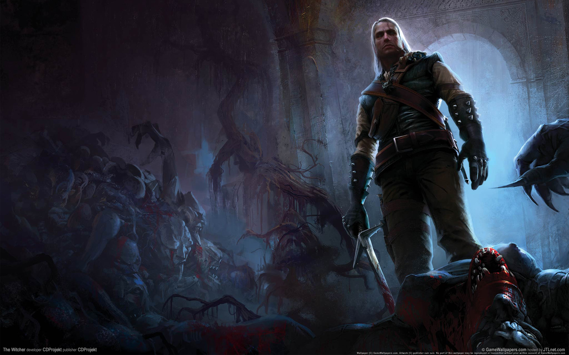 witcher, игра