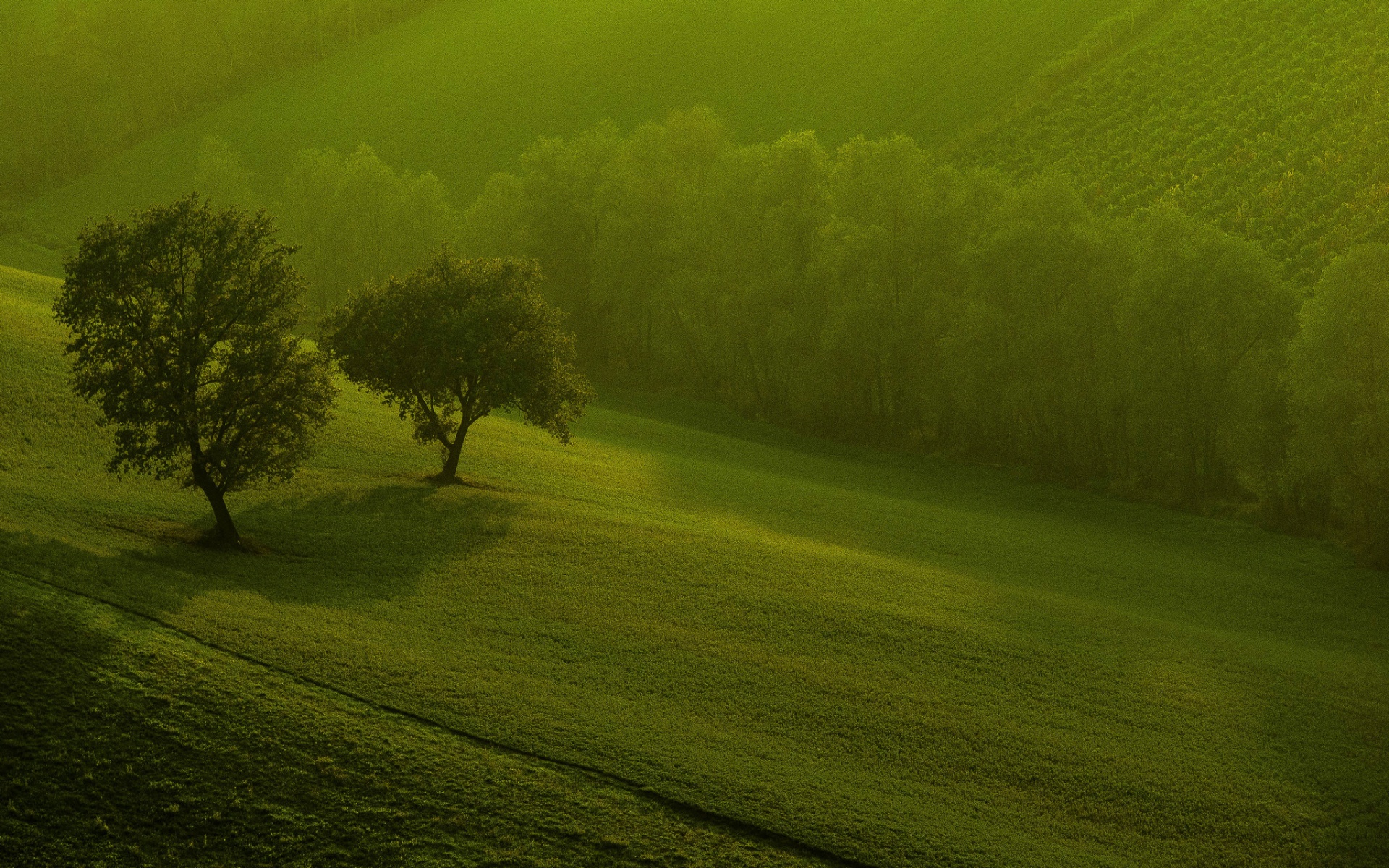 Природа 24966
