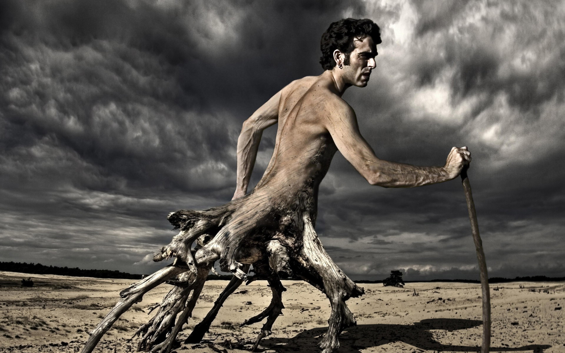 дерево, Мужик, корни