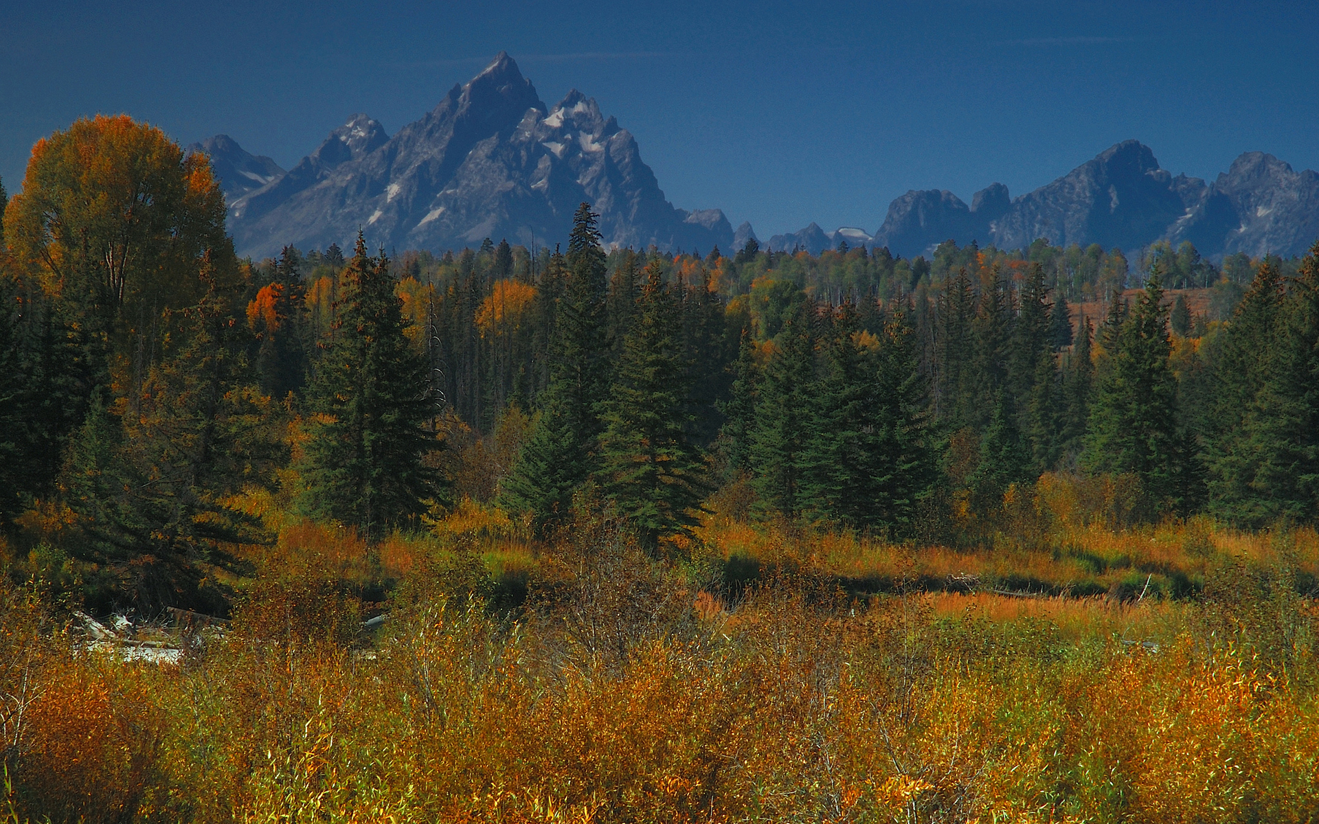 Природа 255183