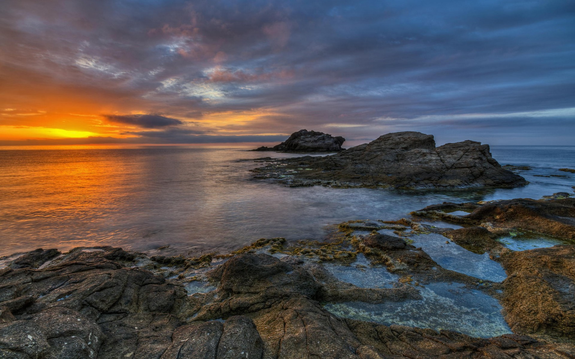 жители, кивид, tauta