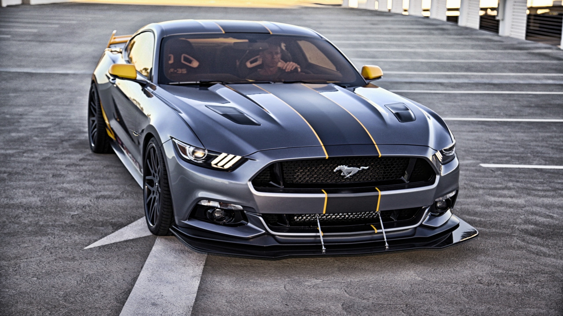 mustang, ford, shelby
