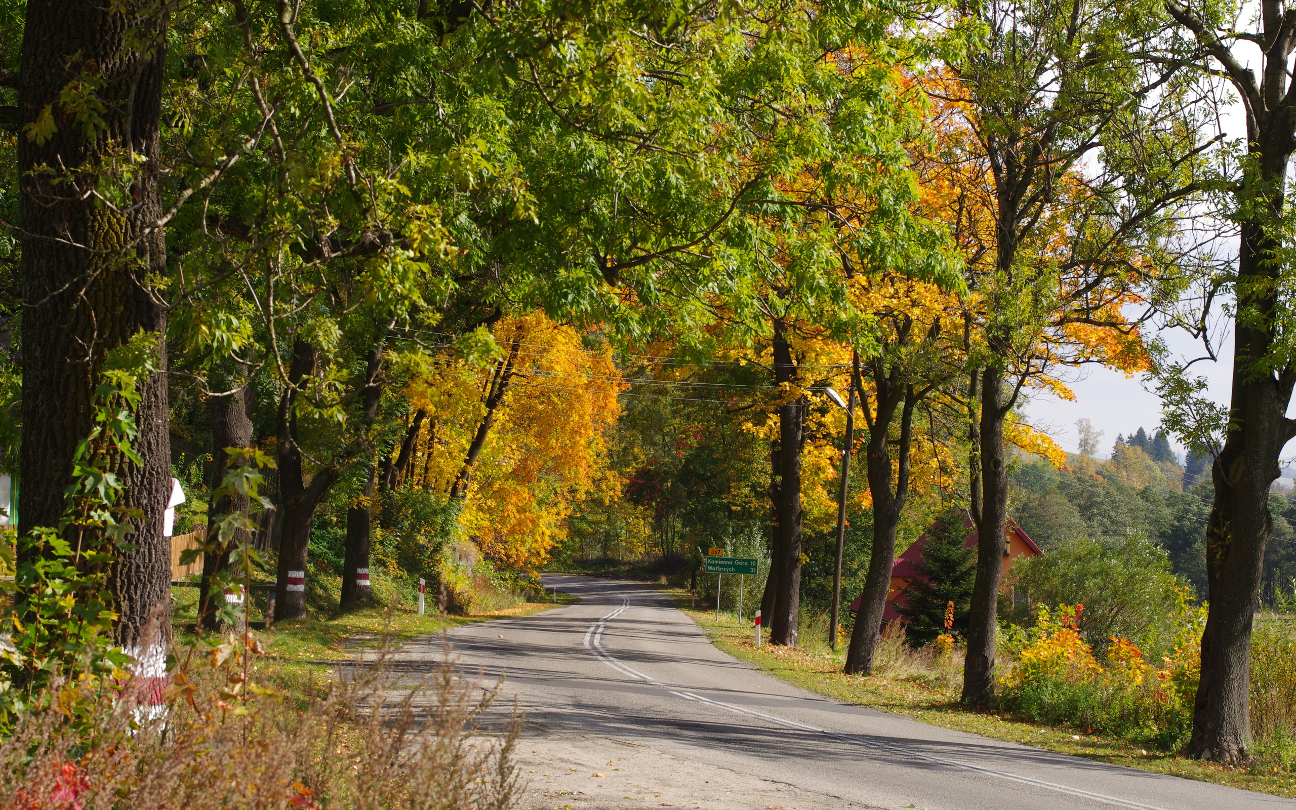 мякоти, гобелые, очки