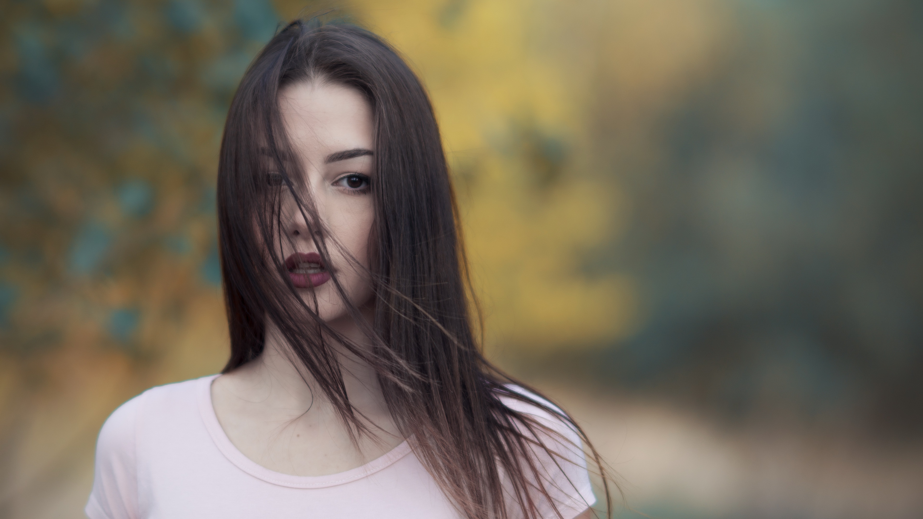 телефон, модель