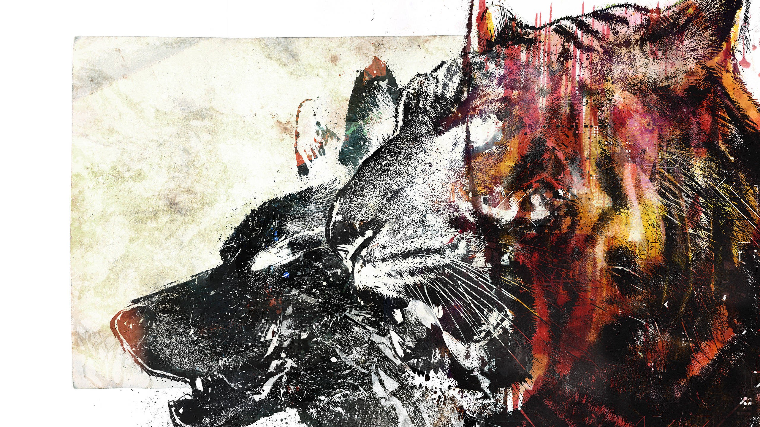 волк, собака, тигр