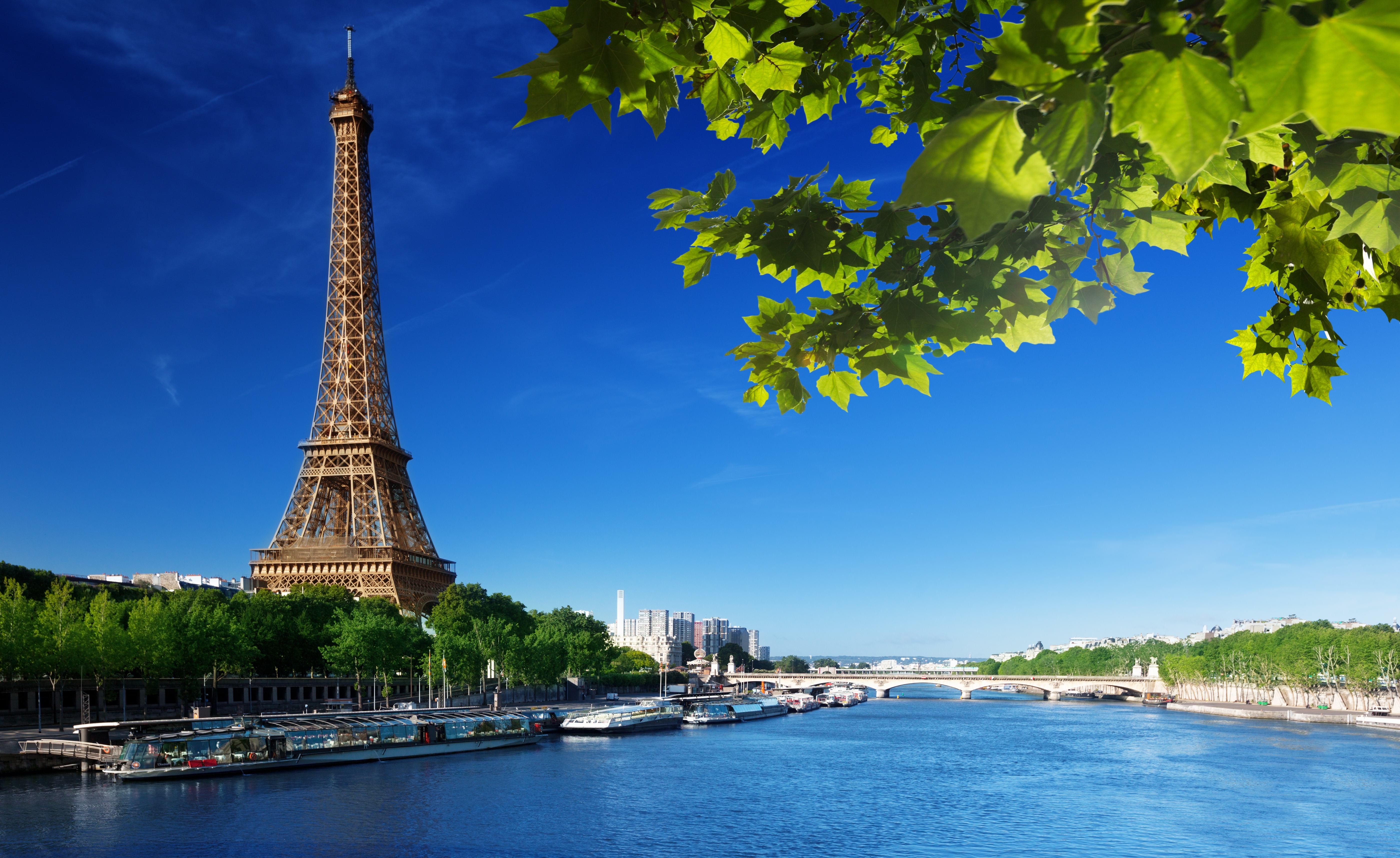 природа страны архитектура Франция Париж Эйфелева Башня река деревья nature country architecture France Paris Eiffel Tower river trees без смс