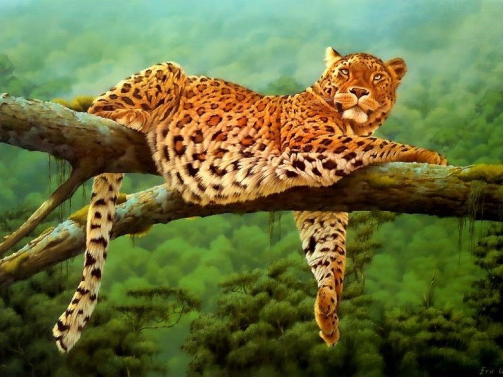 кошки, большие, дикие