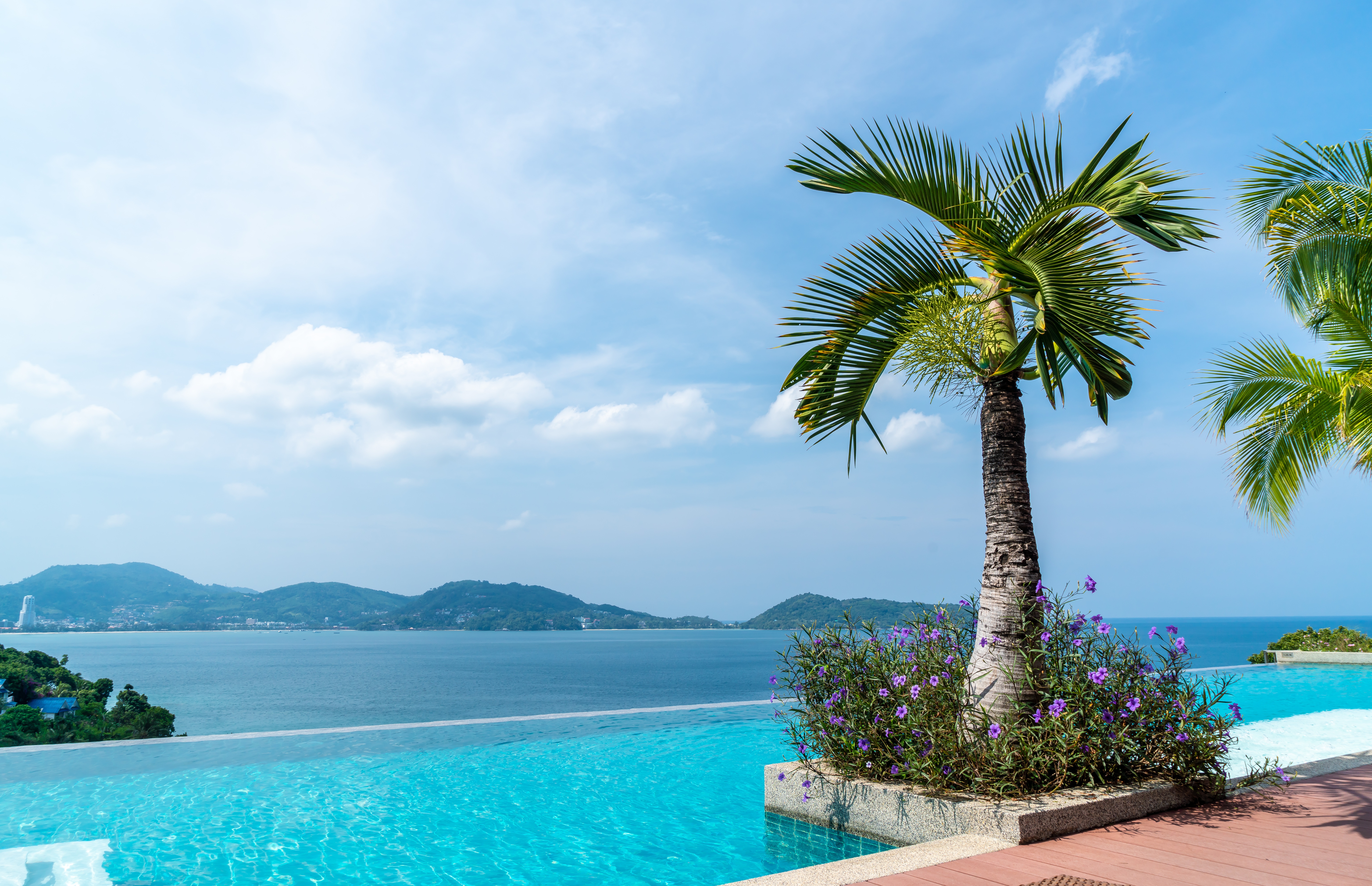 лентяй, замерз, телефон