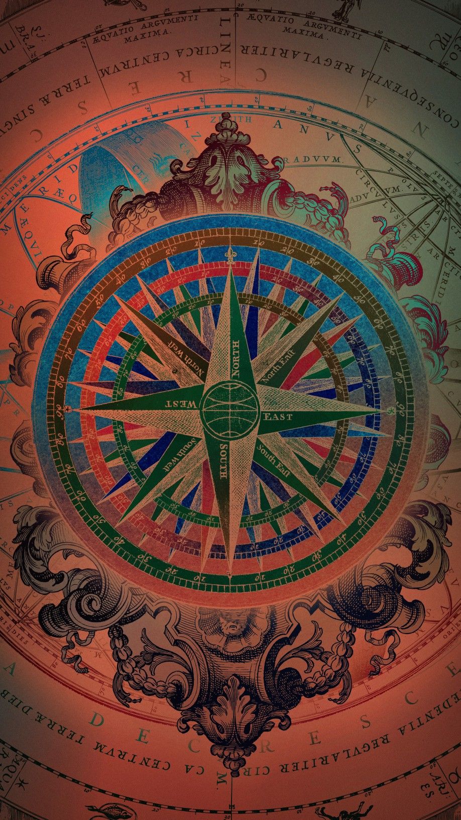 designer, одежда, motif