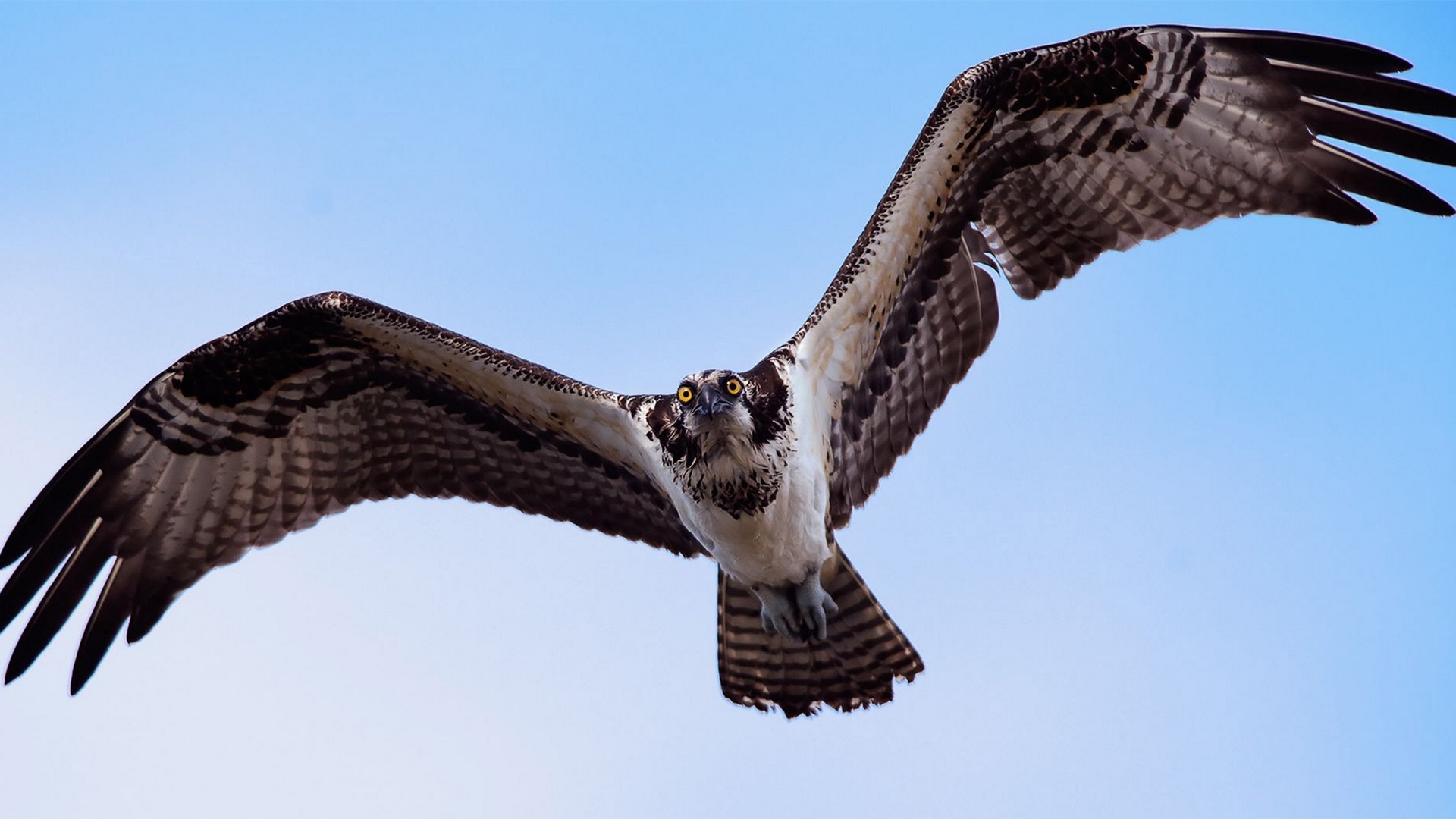 животное, заповедник