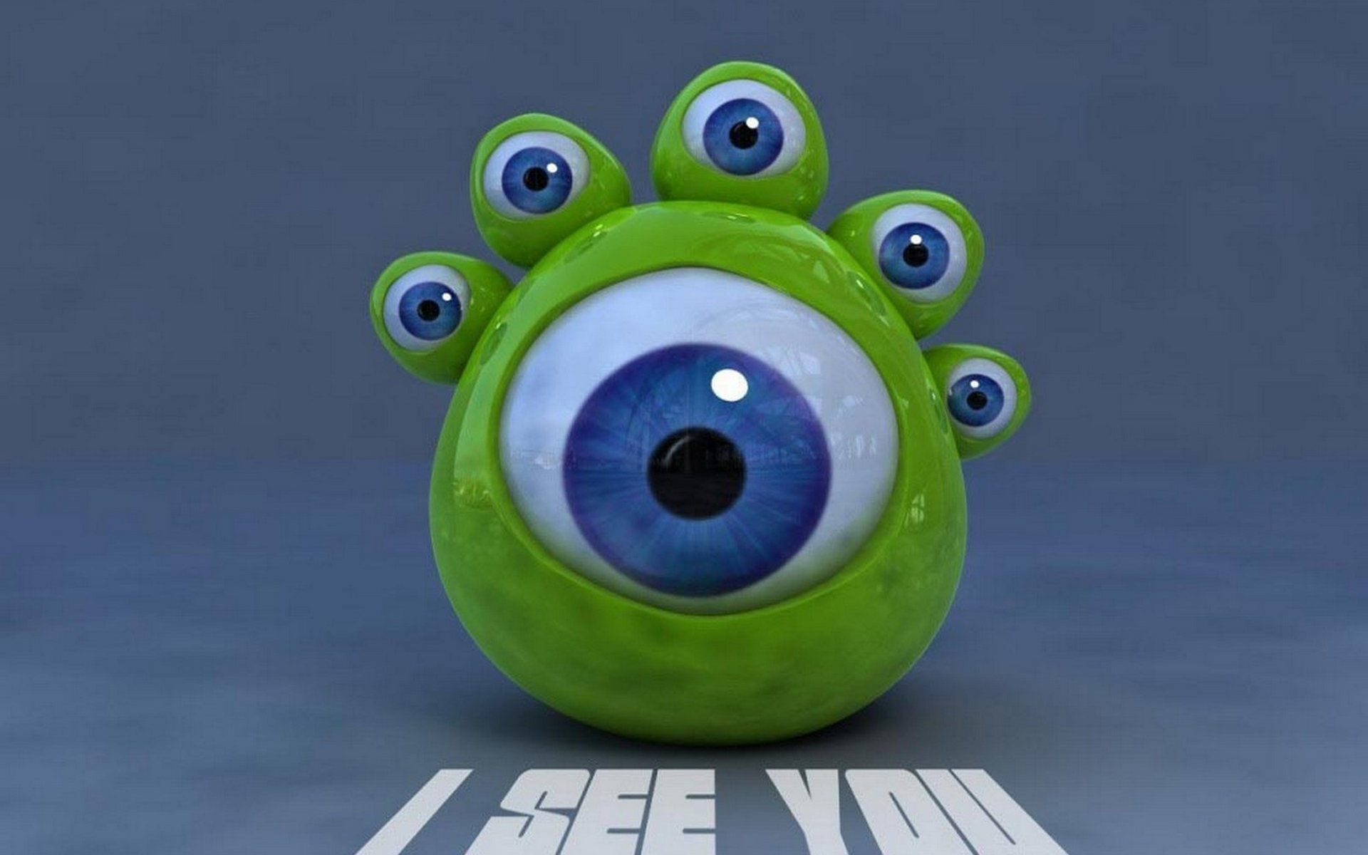 пареда, папель