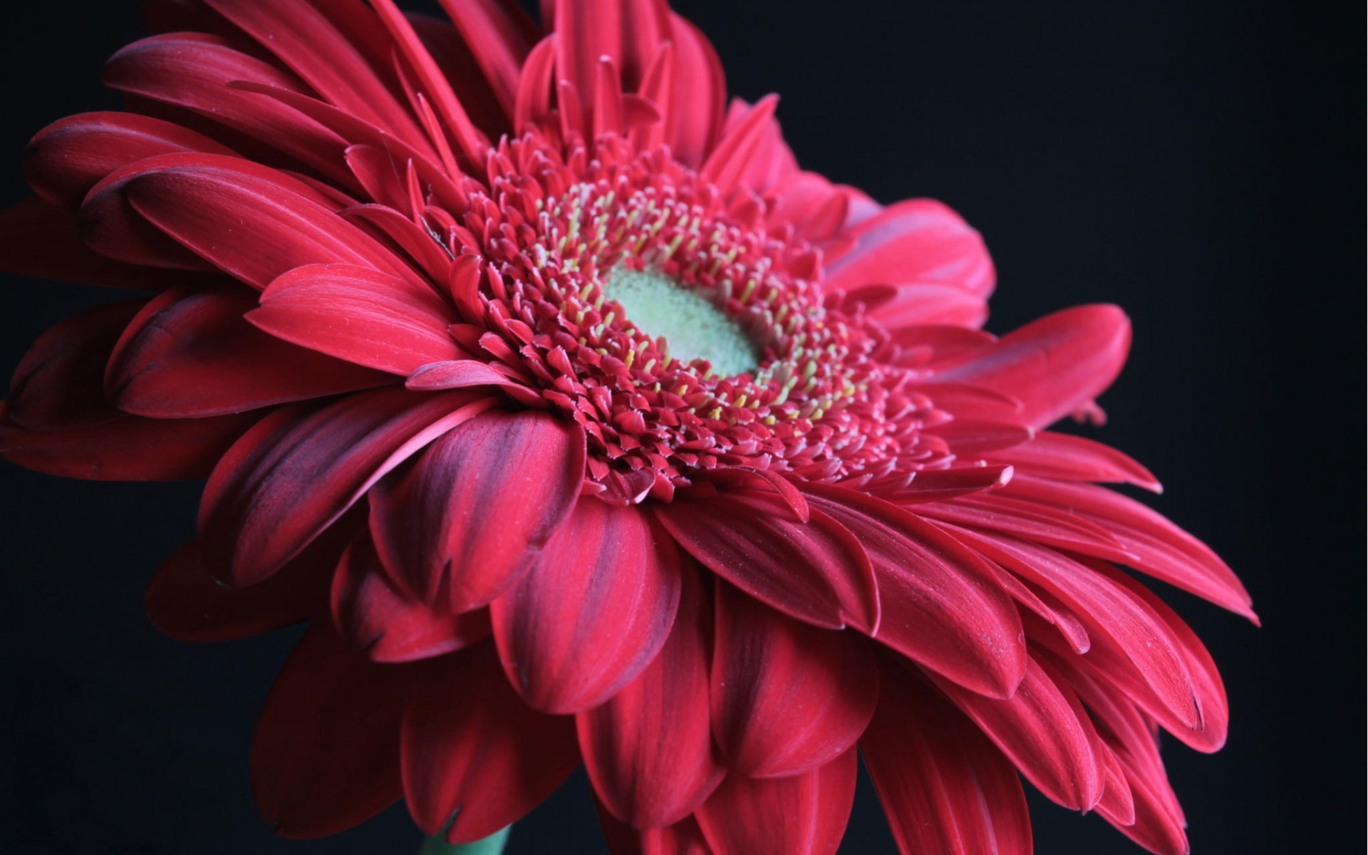 викторины, контакт