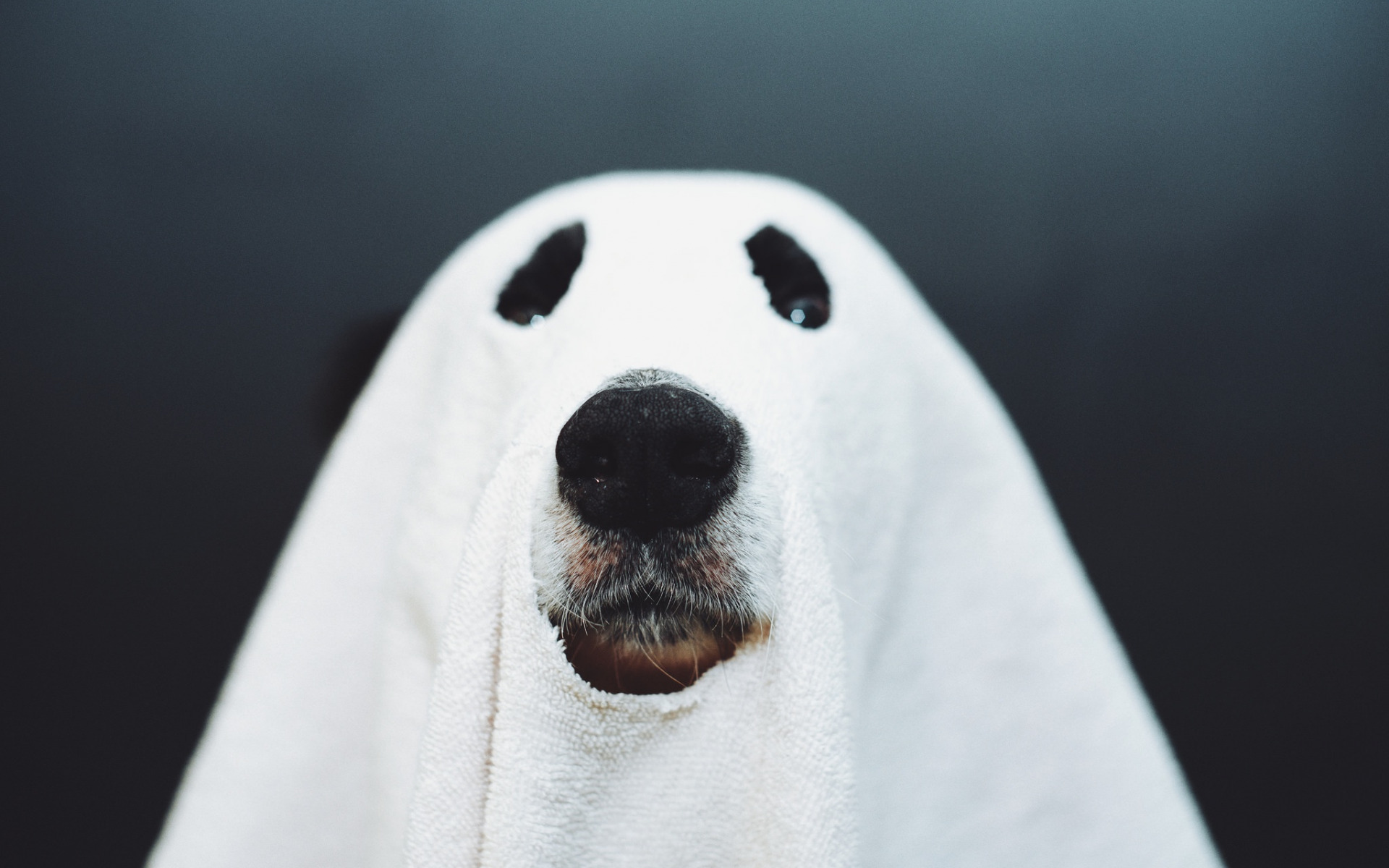 мягкий, черный