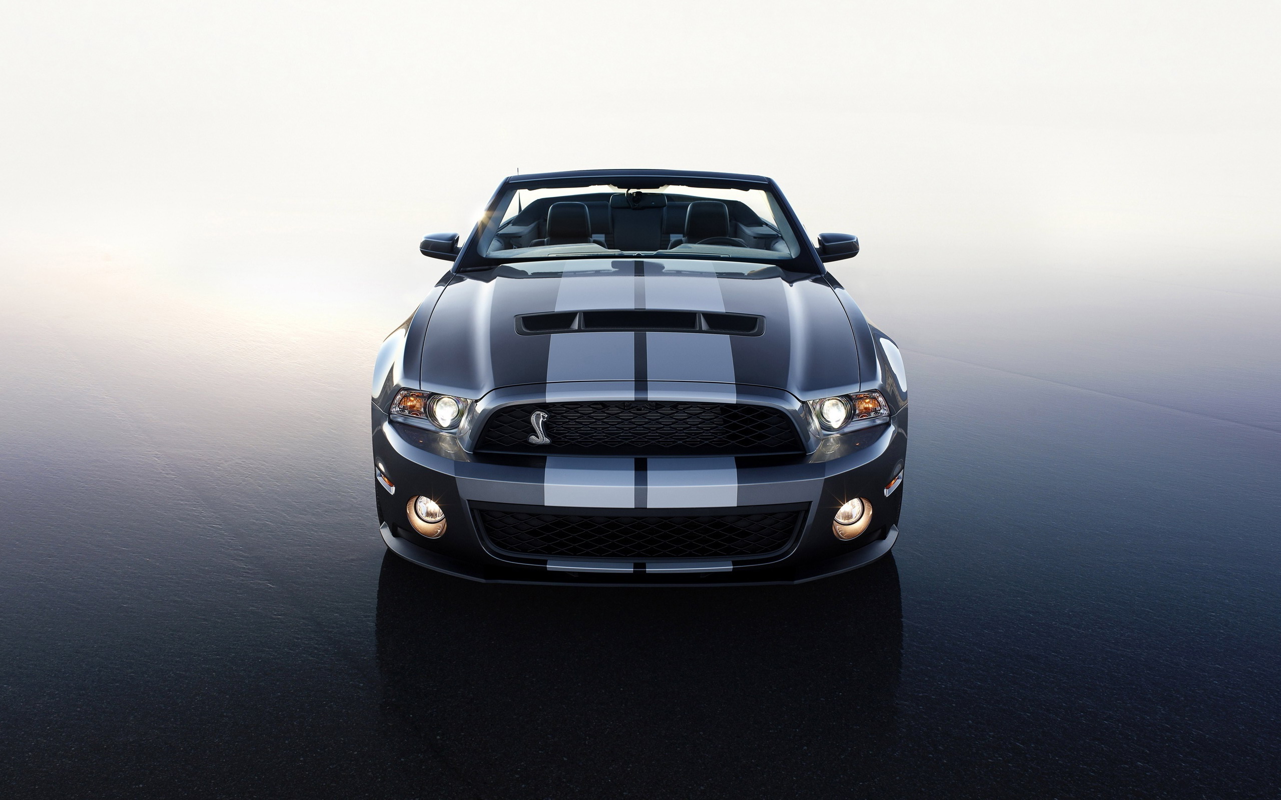 shelby, ford, mustang