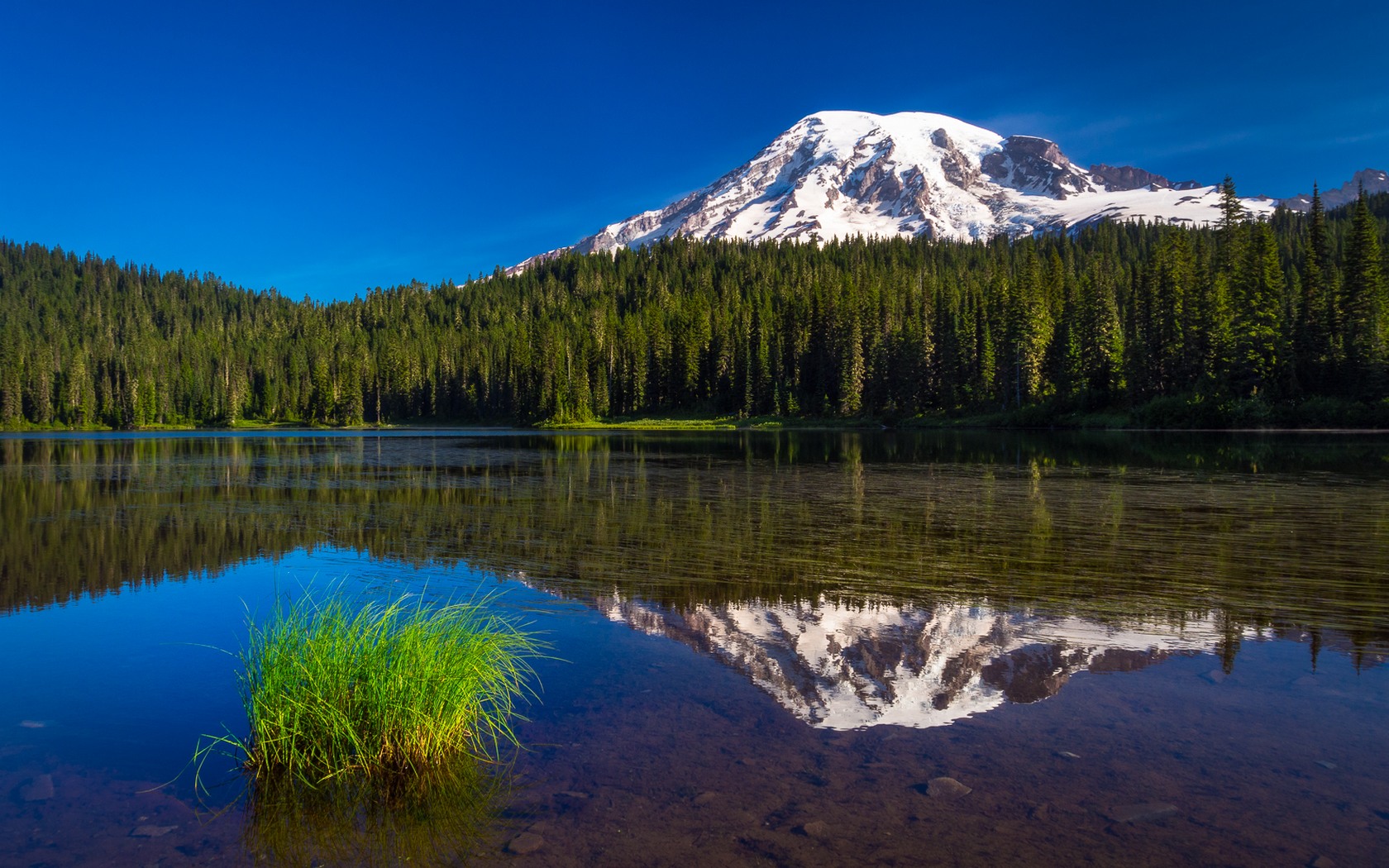 национальных