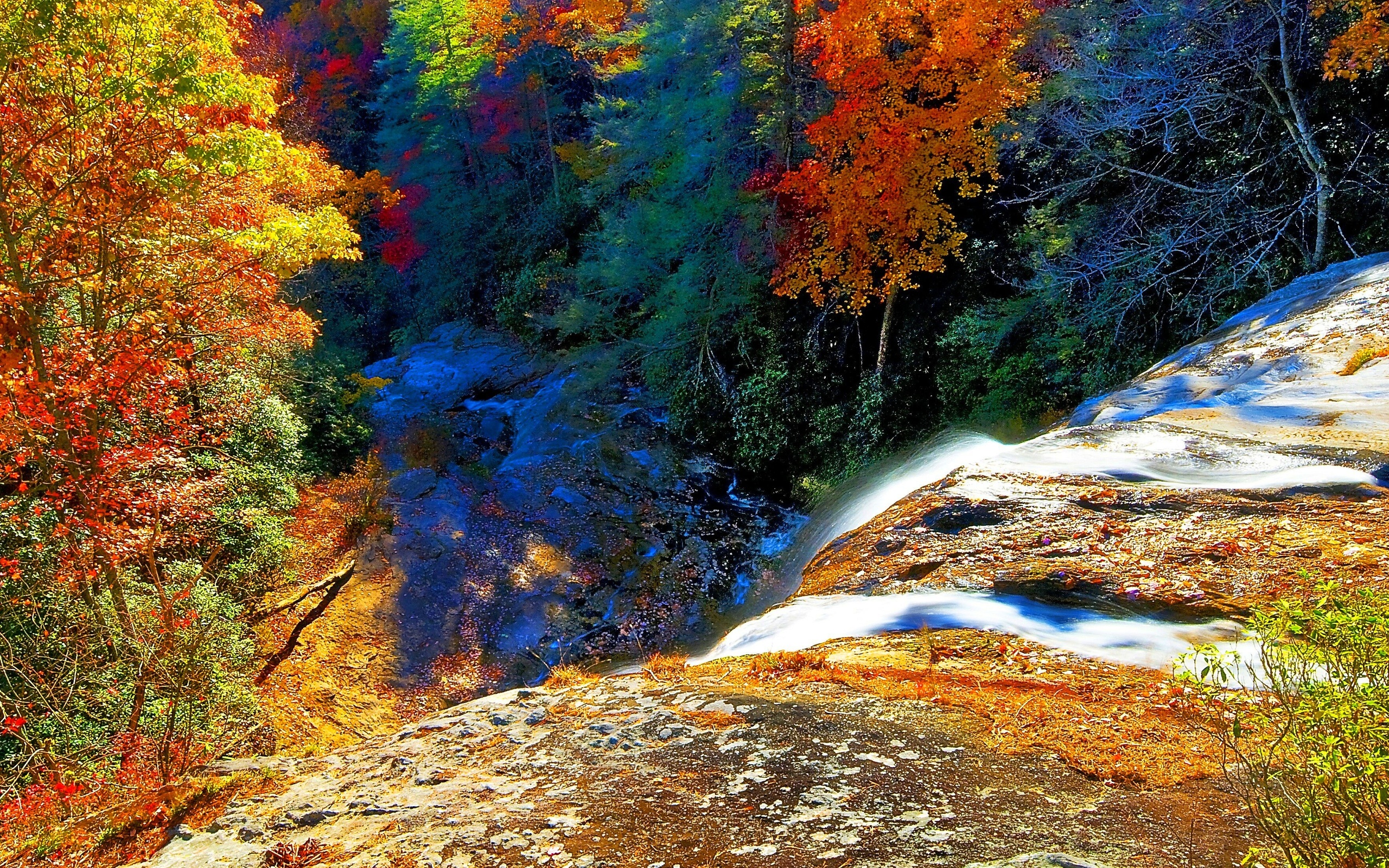 свободные, высокие