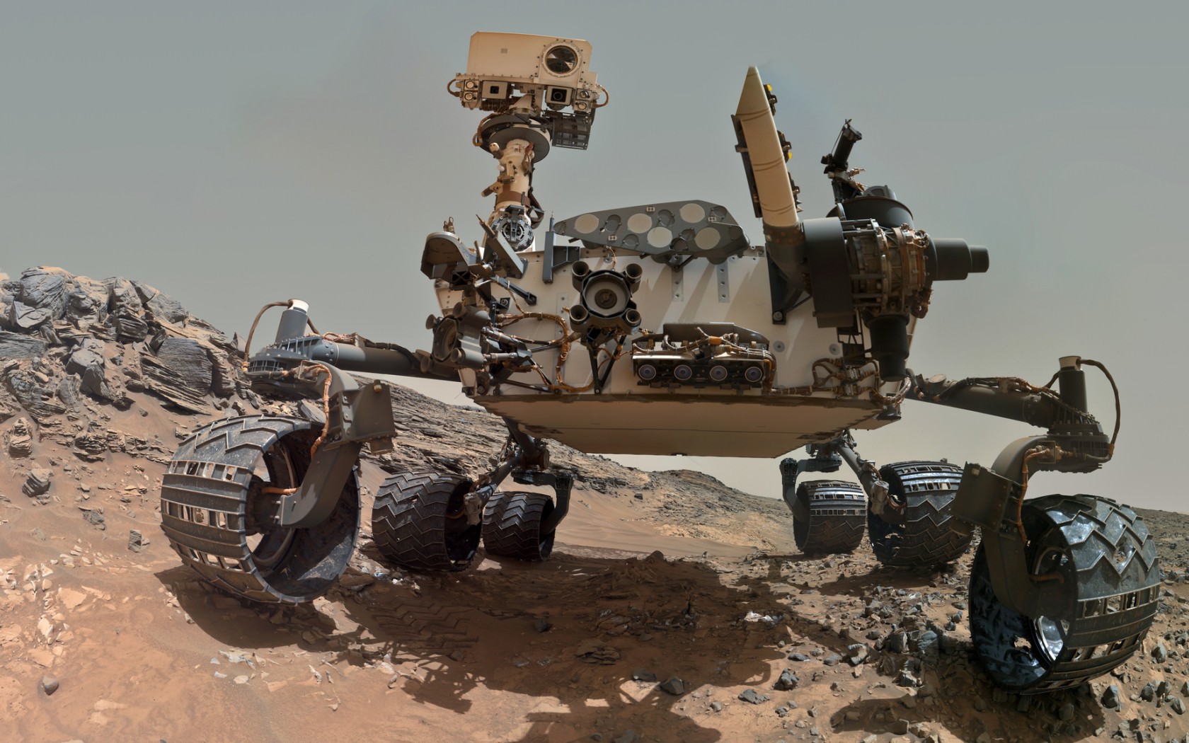 любознательность, коперсити