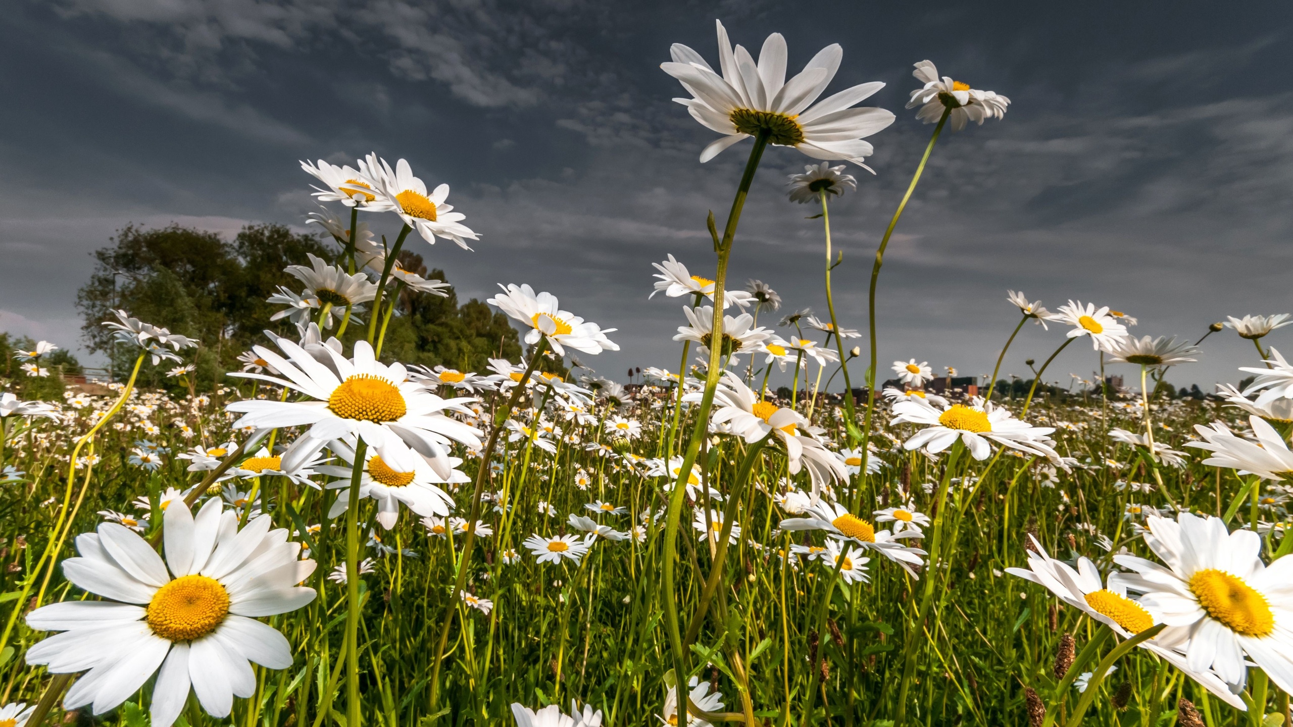 головокружение, рвота