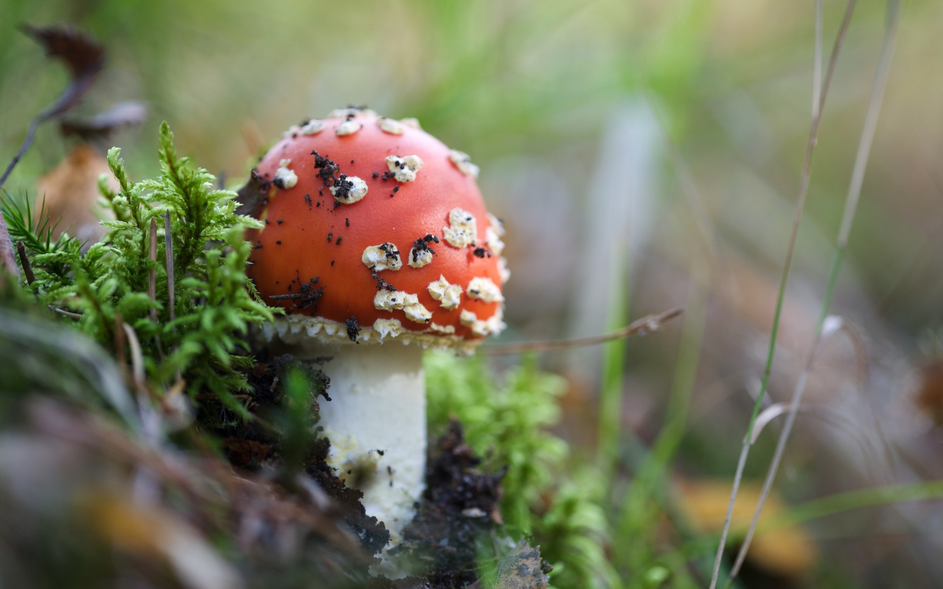 разные, широкоформатные