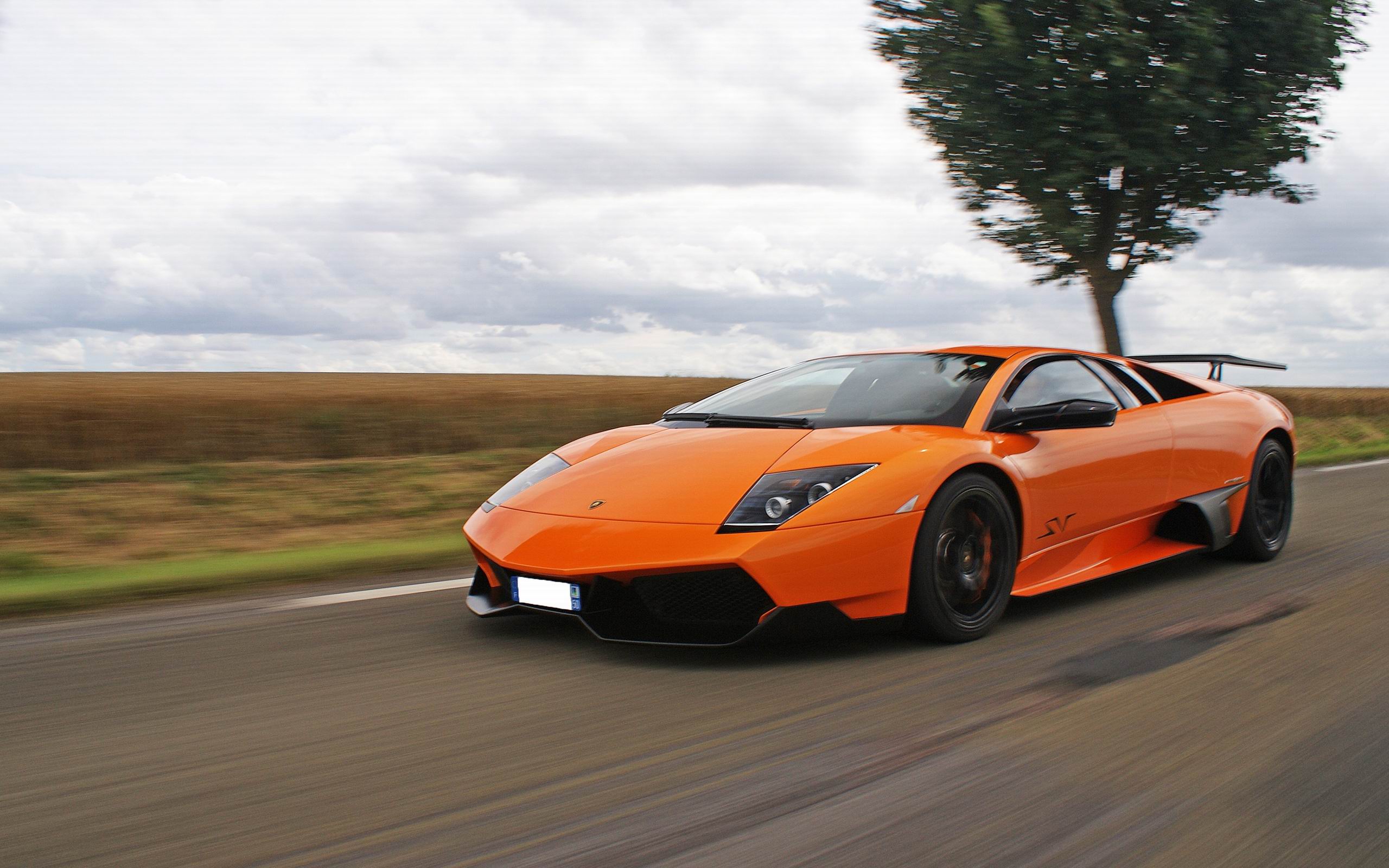 ноа, сафар, гугл