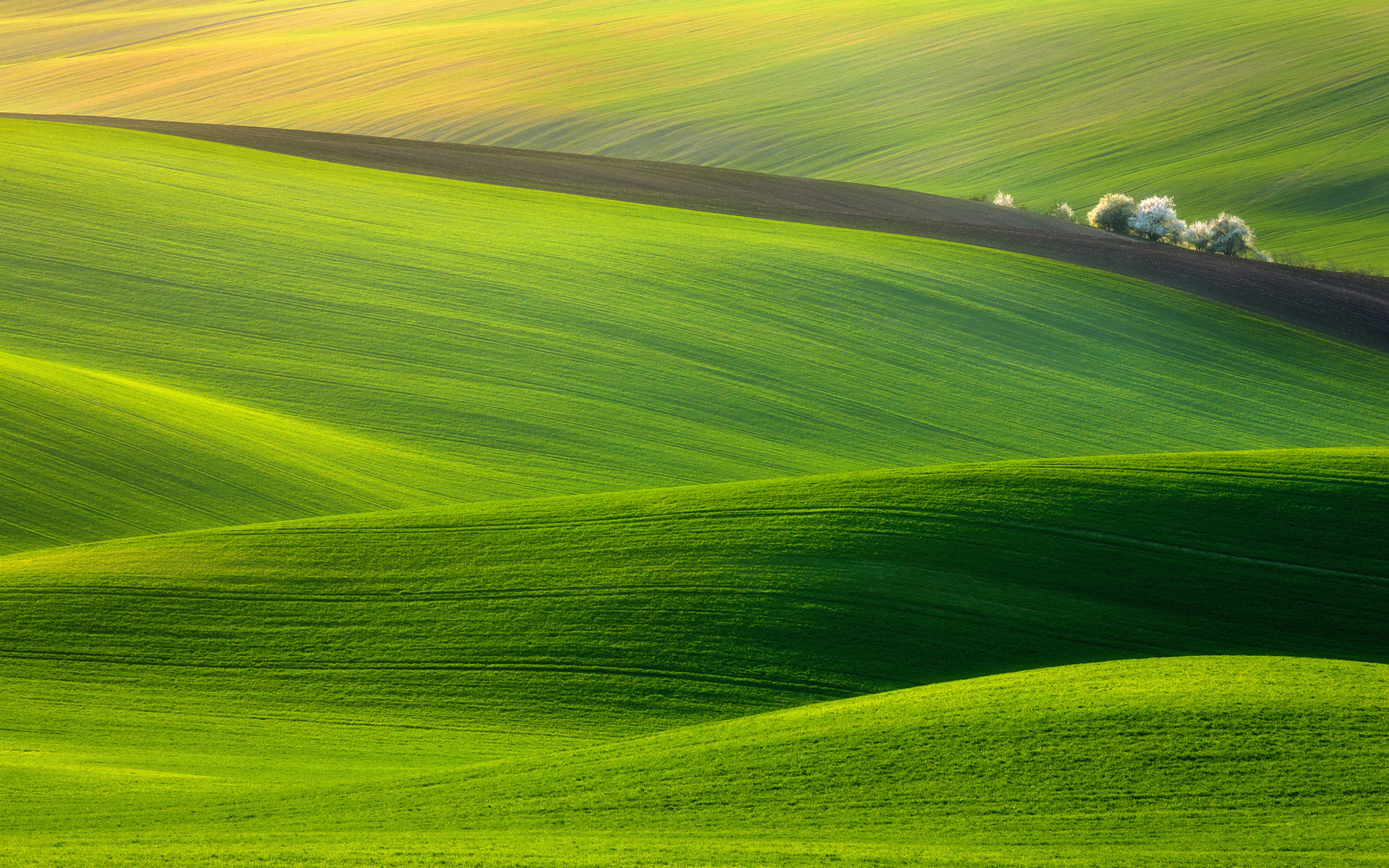 трава, холмы, природа
